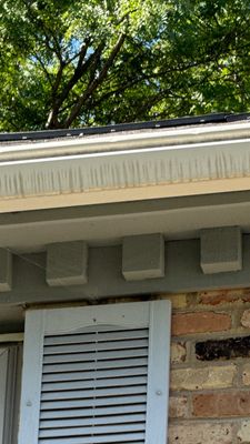 Turtle Shell gutter protection installation in Naperville, IL 60540, photograph 9