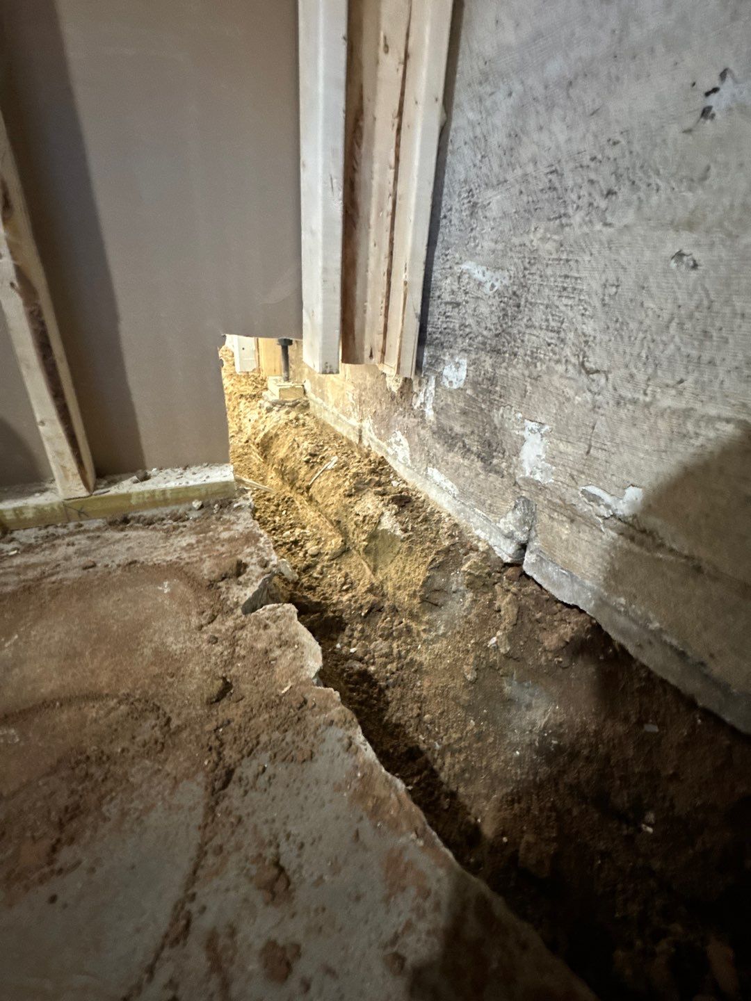 Sarena's New Home by Waterproofing Northeast