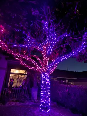 Halloween Tree Wrap