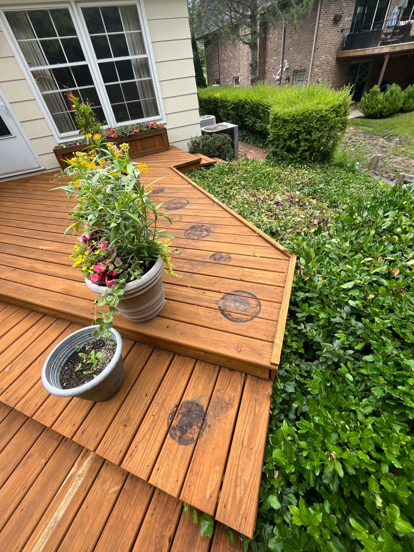 Wood cleaning and staining using Algaecide, soft wash soap by Northern Power Washing LLC.