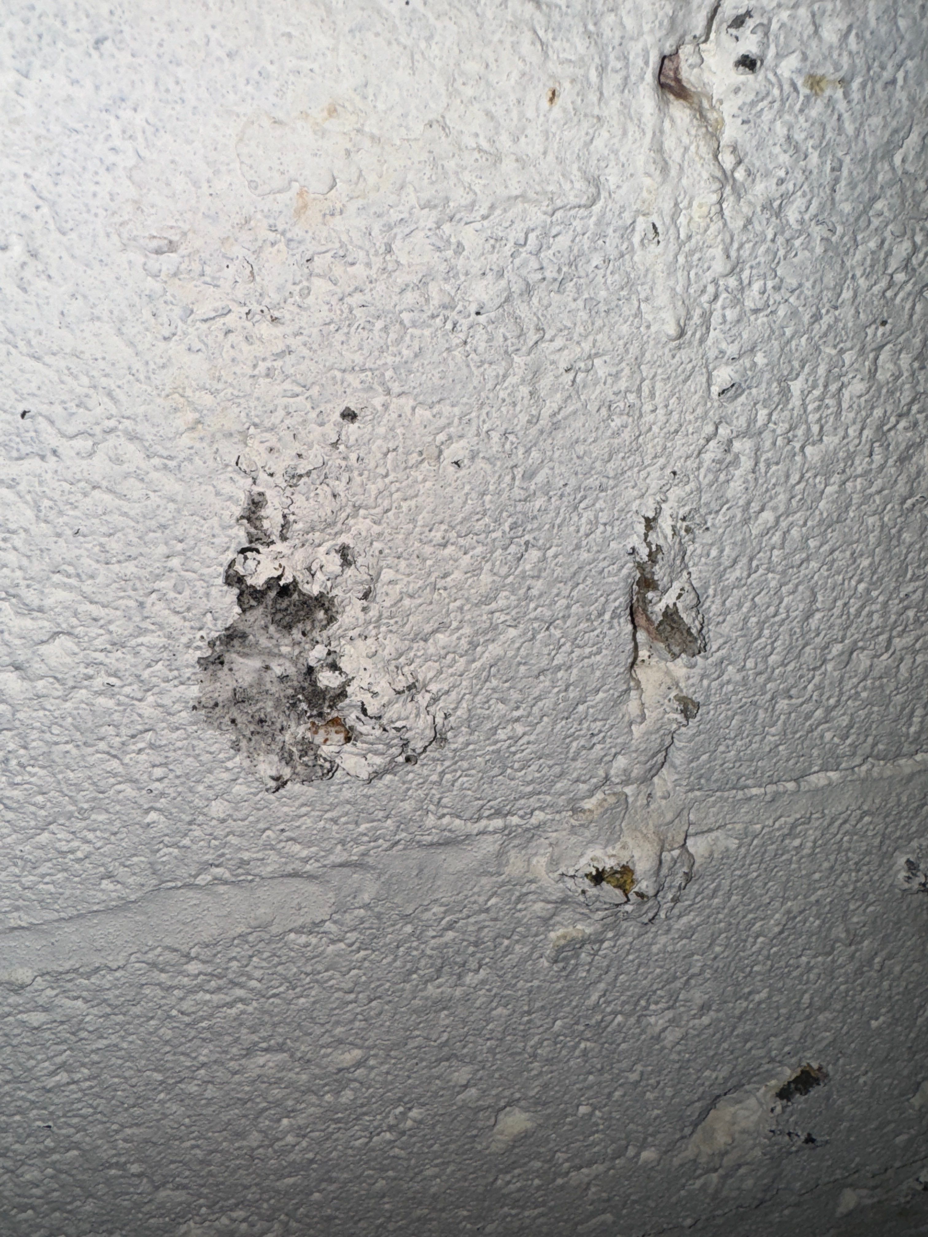 Interior French Drain Livingston NJ by Pure Service Pro, LLC 
