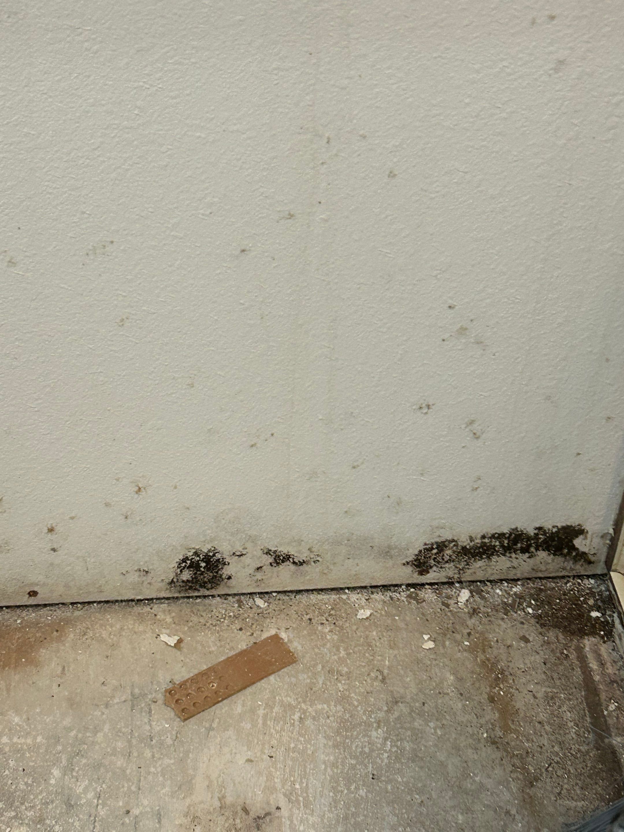 Project in Valrico by You Restorations LLC DBA YOU-Home