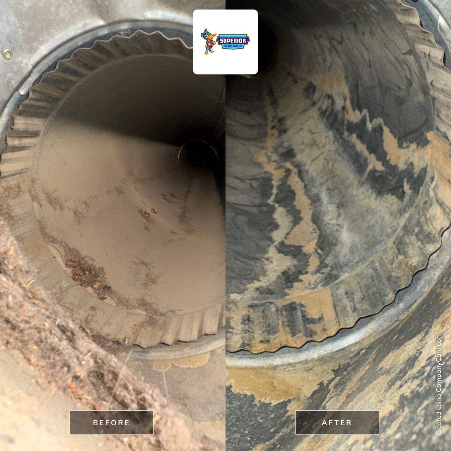 Air Duct Cleaning in Richmond, OH by Superior Air Duct Cleaning