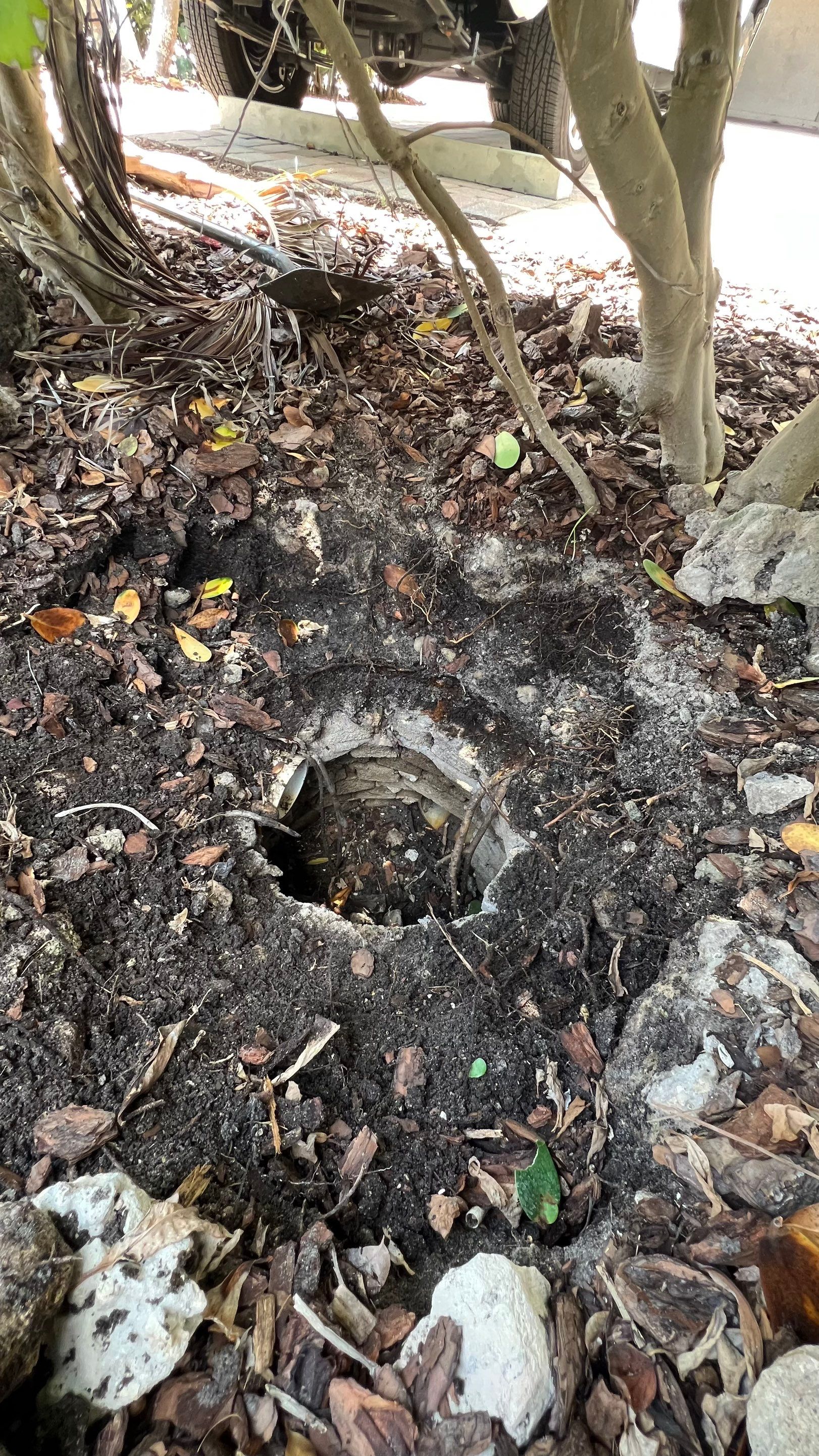 Gulfshore Condo Stormwater System Maintenance by Don Mar, Inc. Storm Water Solutions
