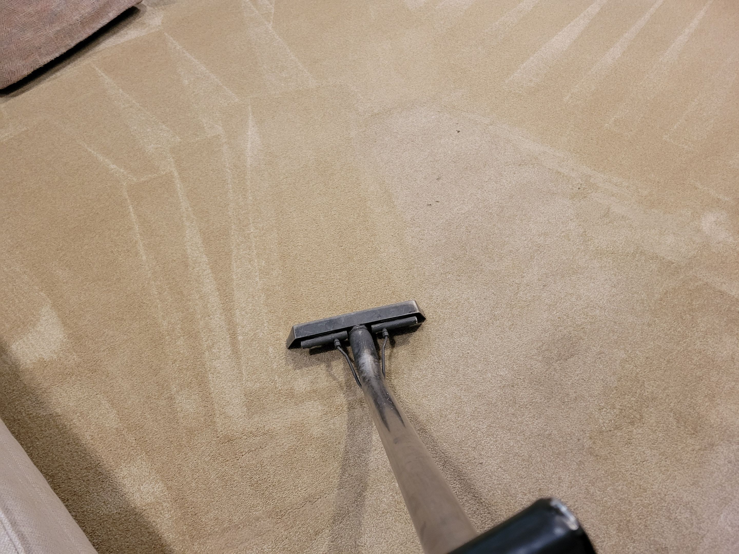 Carpet Cleaning and Upholstery Spot Clean by Ardent Carpet Restore LLC