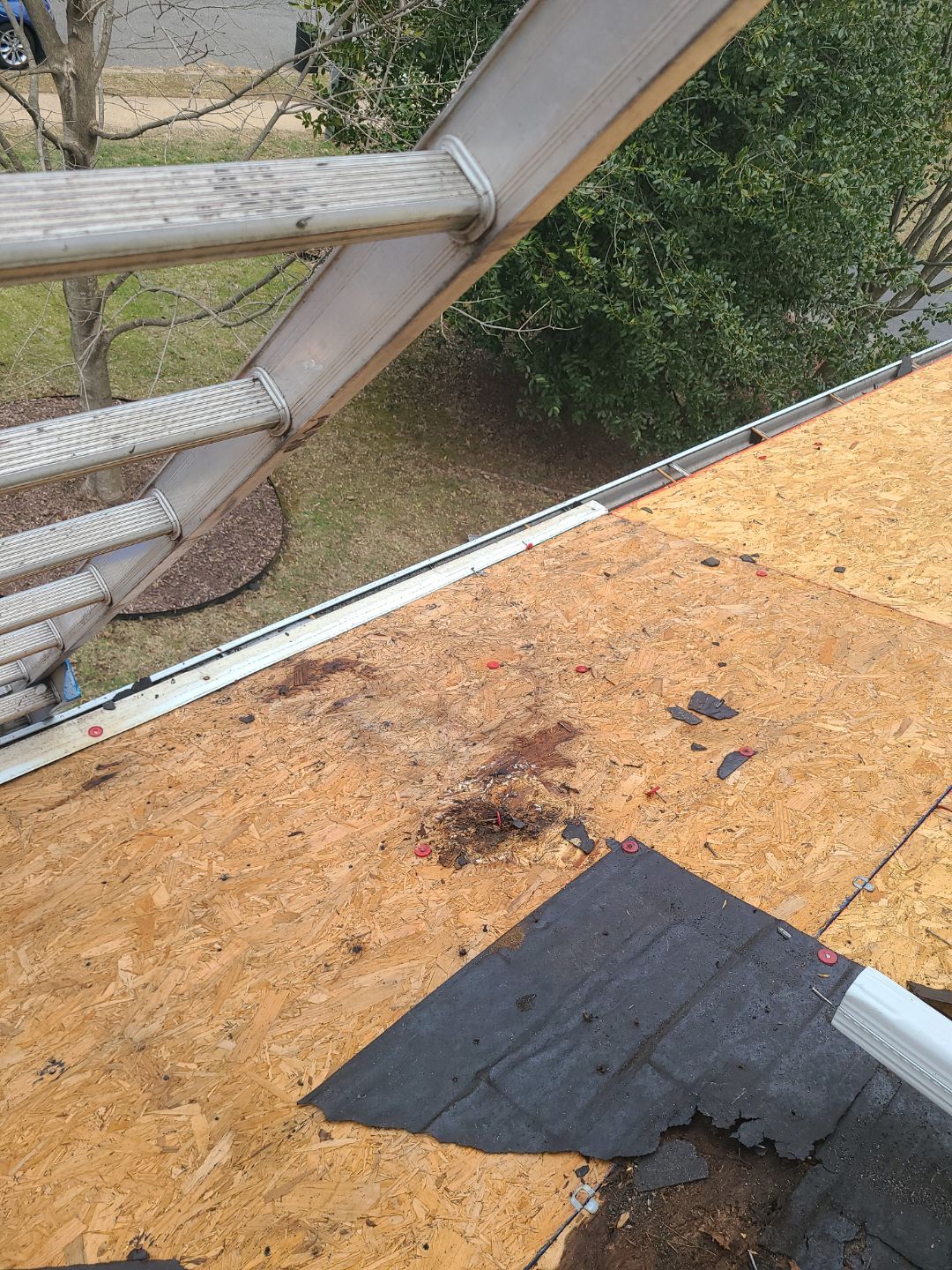 Falls Church: Residential Roof Replacement with CertainTeed Landmark Pro in Max Def Colonial Slate by RM Banning, Inc.