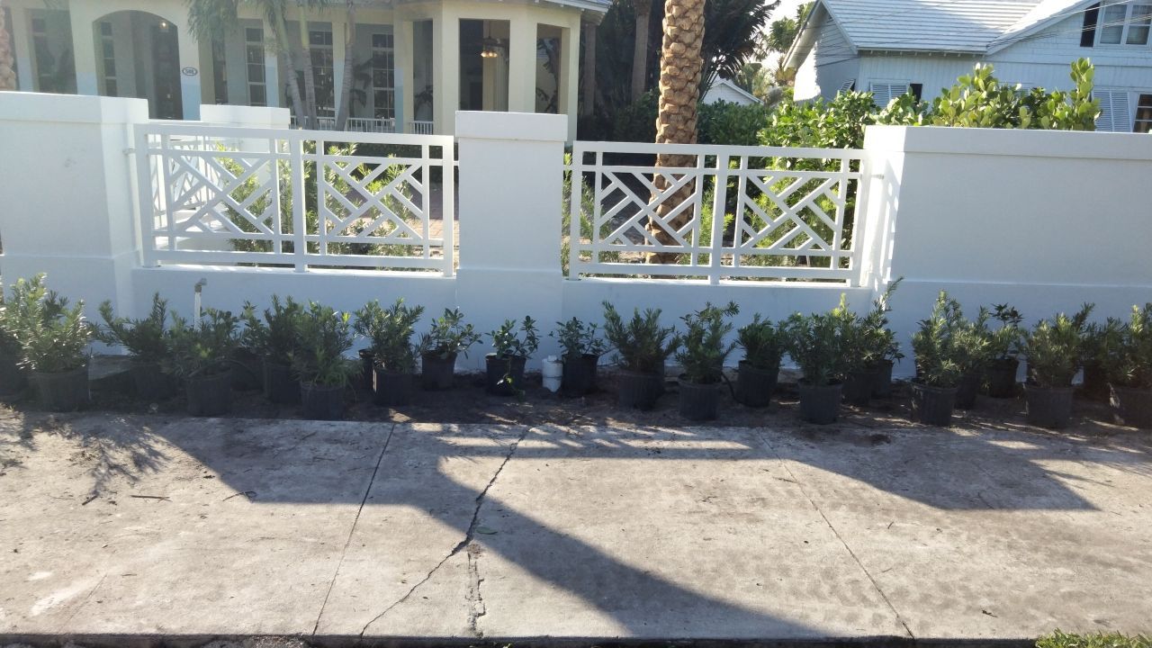 Hazard  by The Landscaping People