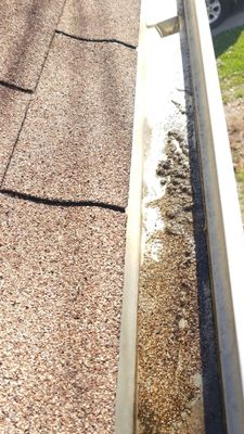 Residential Roofing Installation using Roof Installation