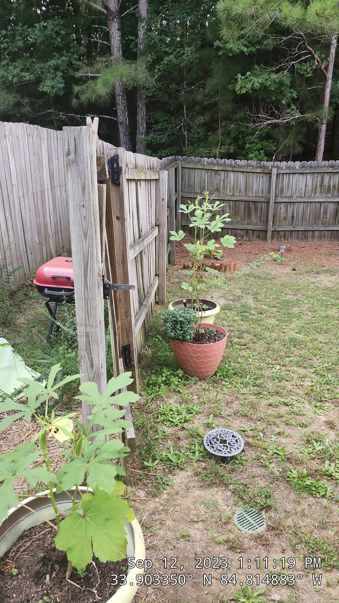 Dogear Wood Privacy Fence by Titans of Timber Fence & Stain