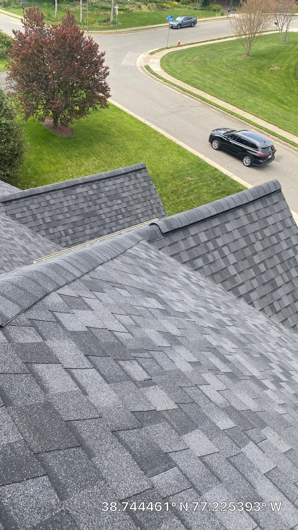 Springfield: CertainTeed Landmark Pro Designer Shingles in Max Def Moire Black by RM Banning, Inc.