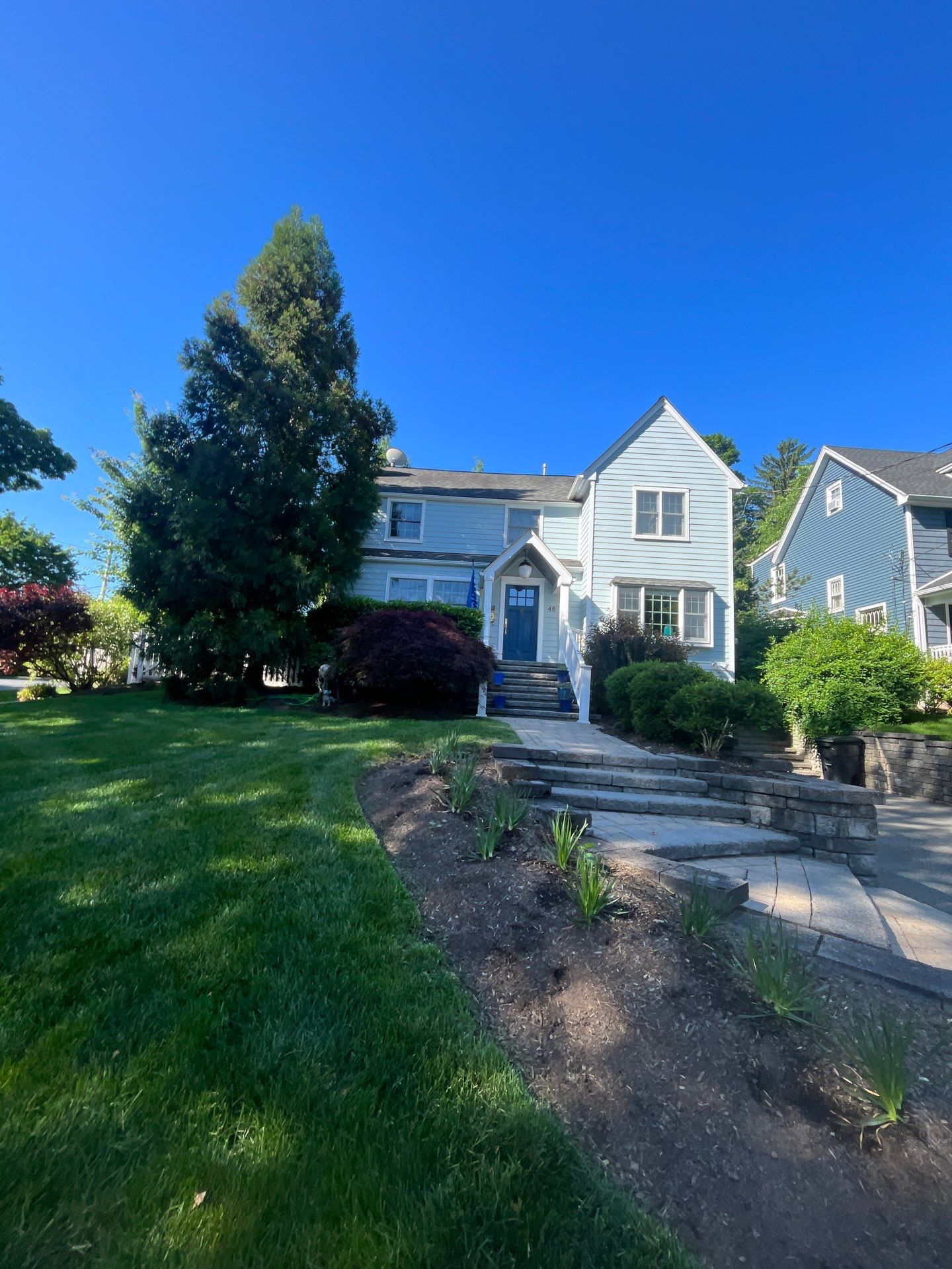 Comprehensive Lawn Care and Aeration and Seeding in Chatham by Ants Plants