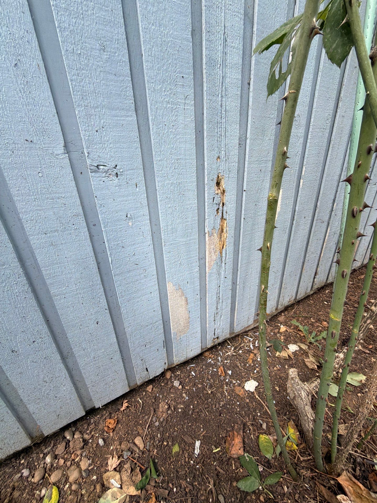 Cedar siding replacement by Handyman State LLC