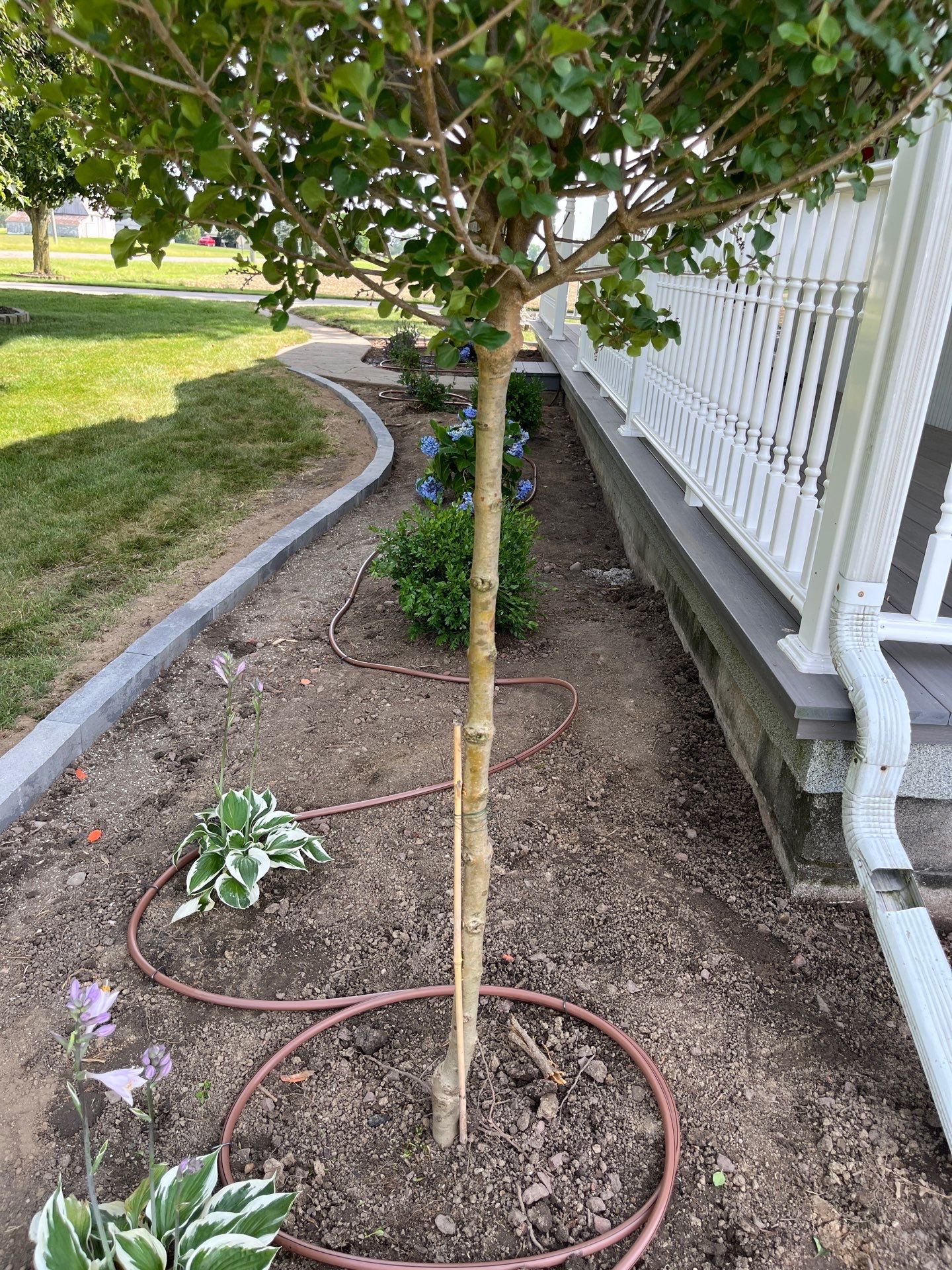 Custom Landscaping, Lighting, & Drip Irrigation Installation in Bryan by Farrell's Lawn & Garden Center LLC
