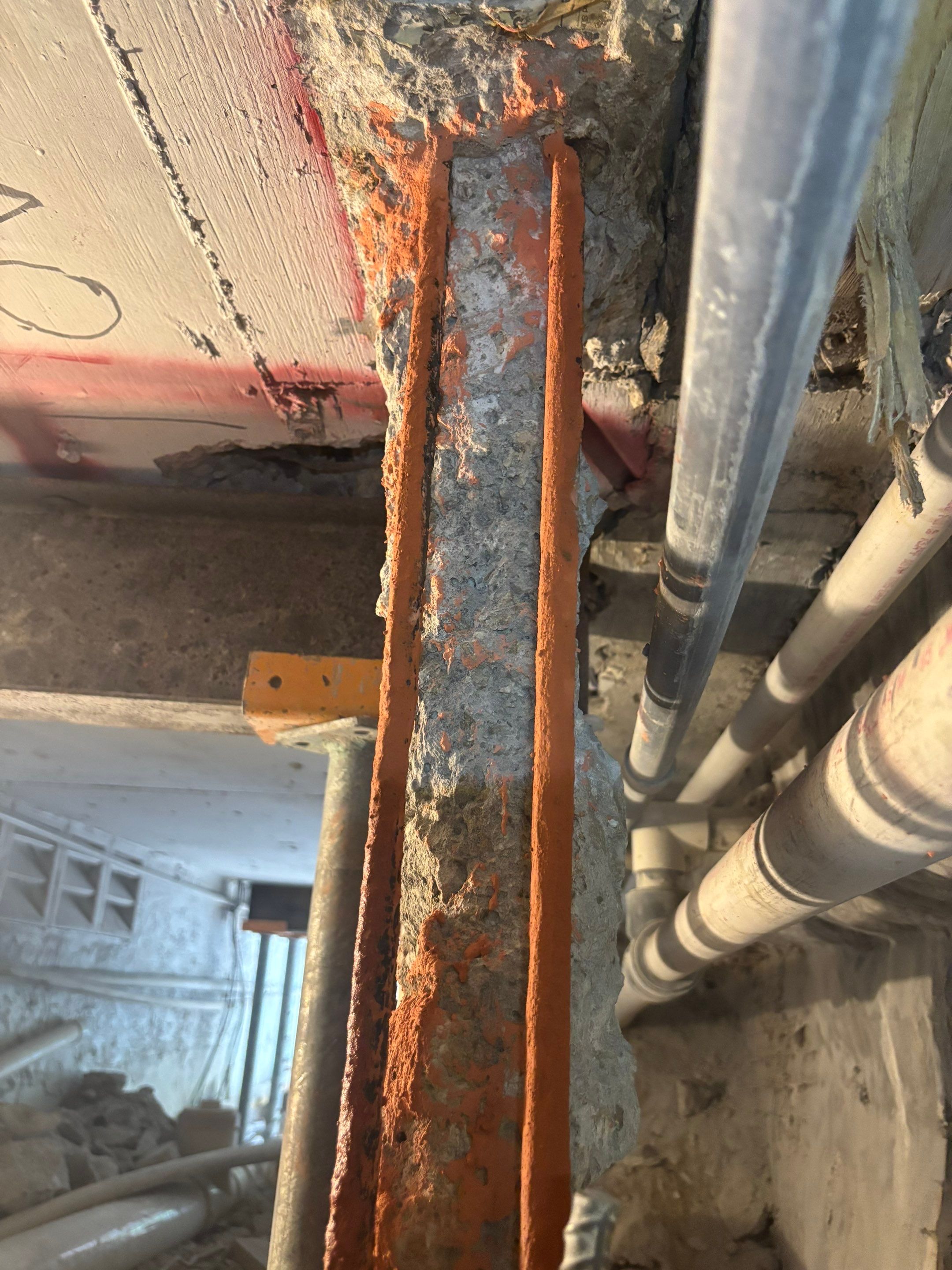 Project in Fort Lauderdale by The Goat Contractor ( Giampri Corp)