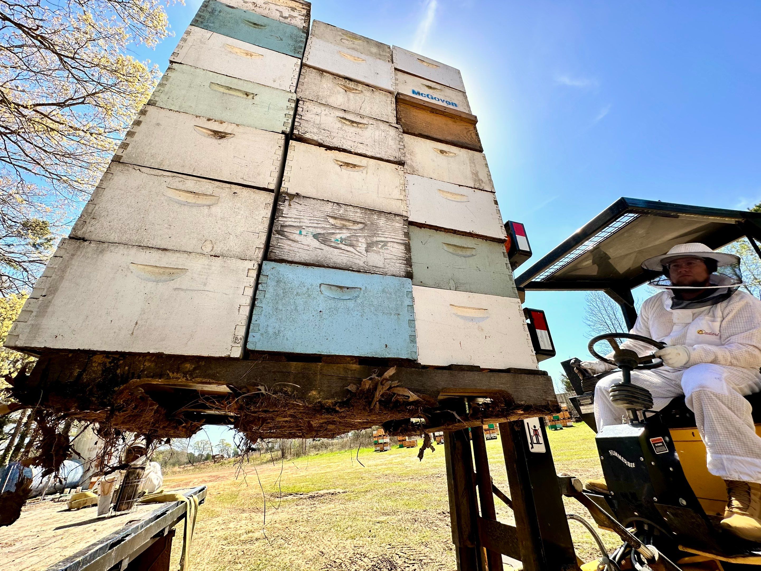 W Family Apiary by Rockwall Honey Bee Company