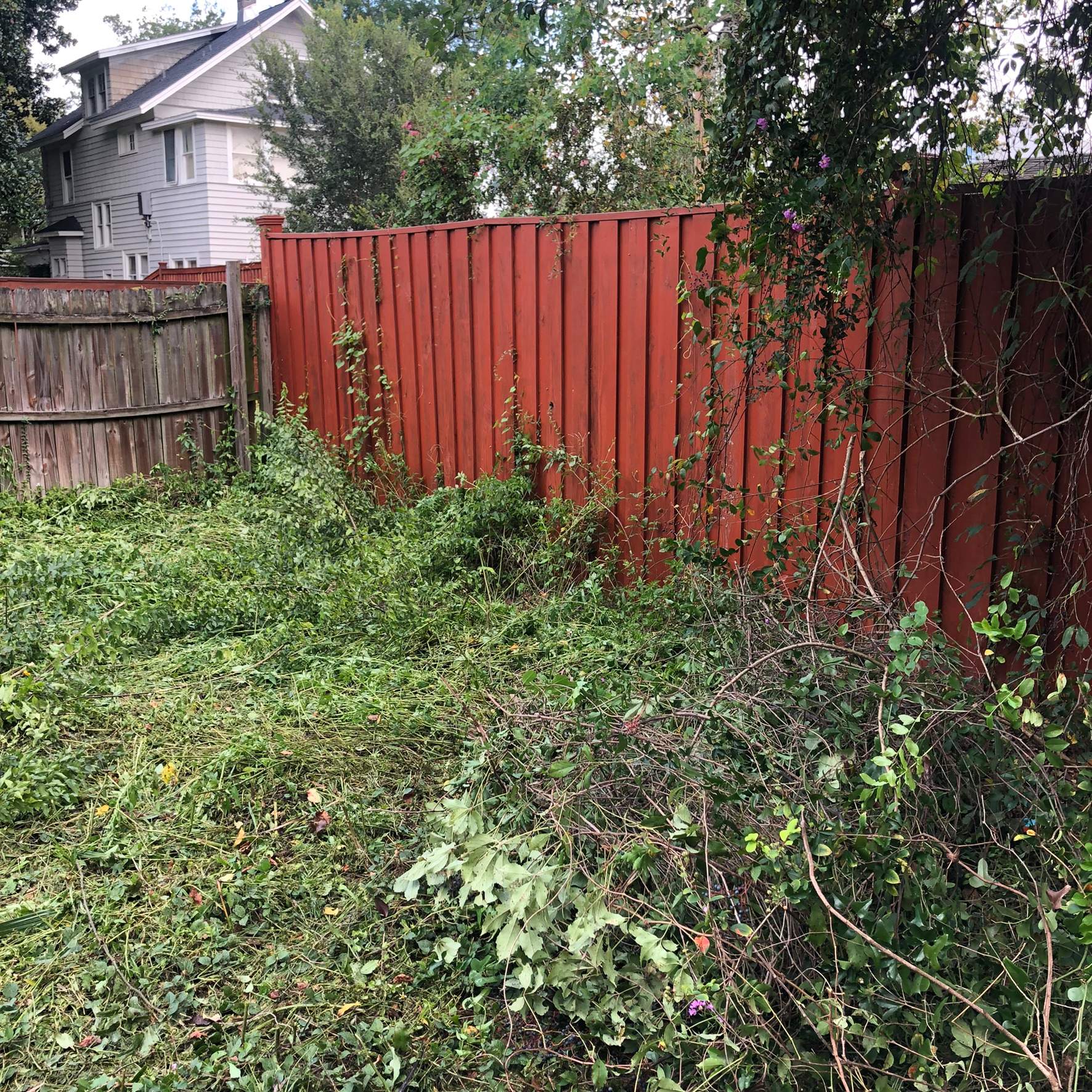 Extreme Clean Up | Riverside Area by ProGreen Services