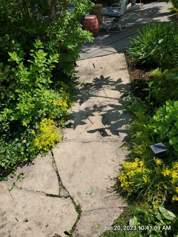 natural stone cleaning using Algaecide, soft wash soap by Northern Power Washing LLC.