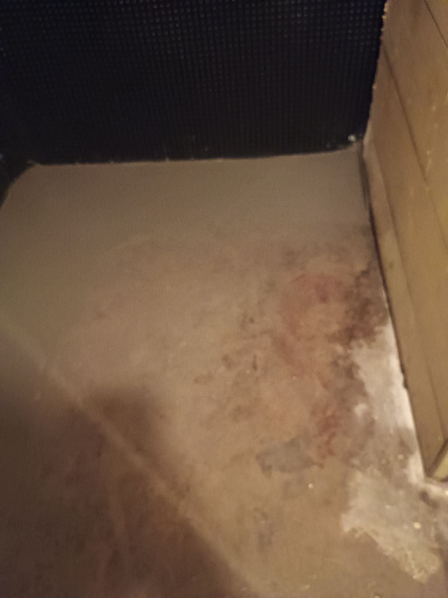 Updating Taylor's Waterproofing System by Waterproofing Northeast