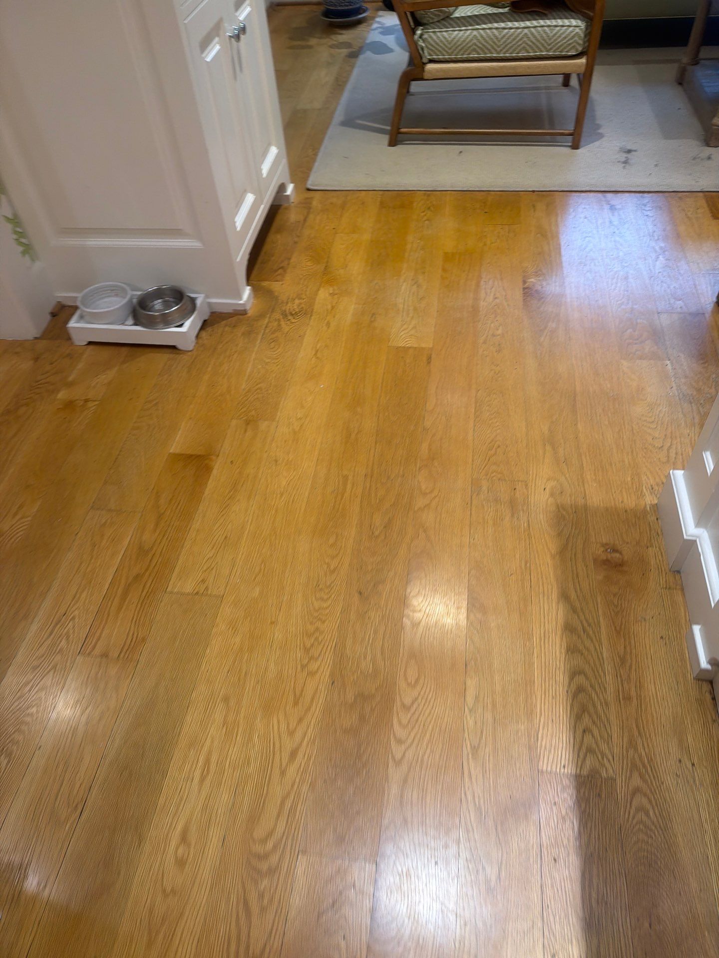 House Cleaning and Maid Service in Dunthorpe Portland by Cloud 9 Professional Cleaning Services