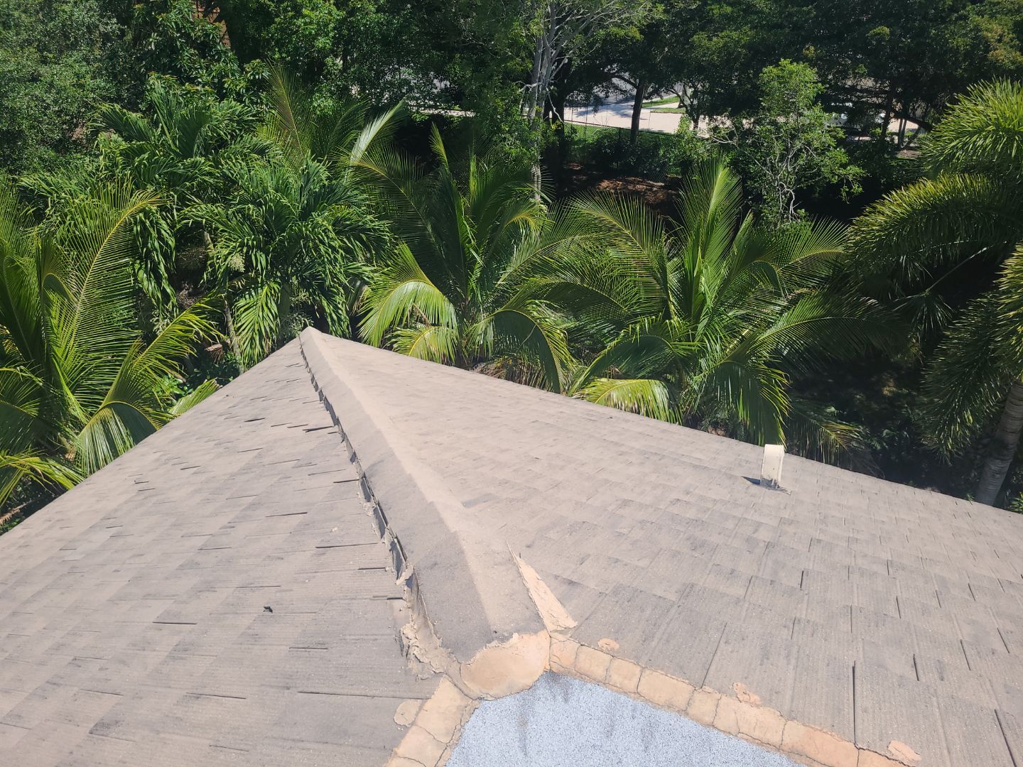 Concrete Tile Roof Repair and Underlayment Replacement in Wellington by Aastro Roofing