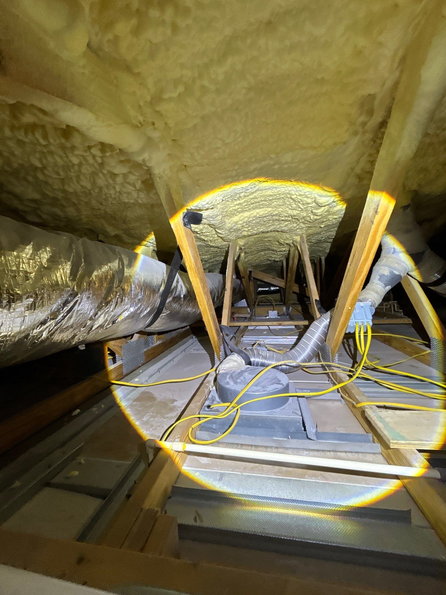 Mold Damage Restoration by Ampm Restoration Services