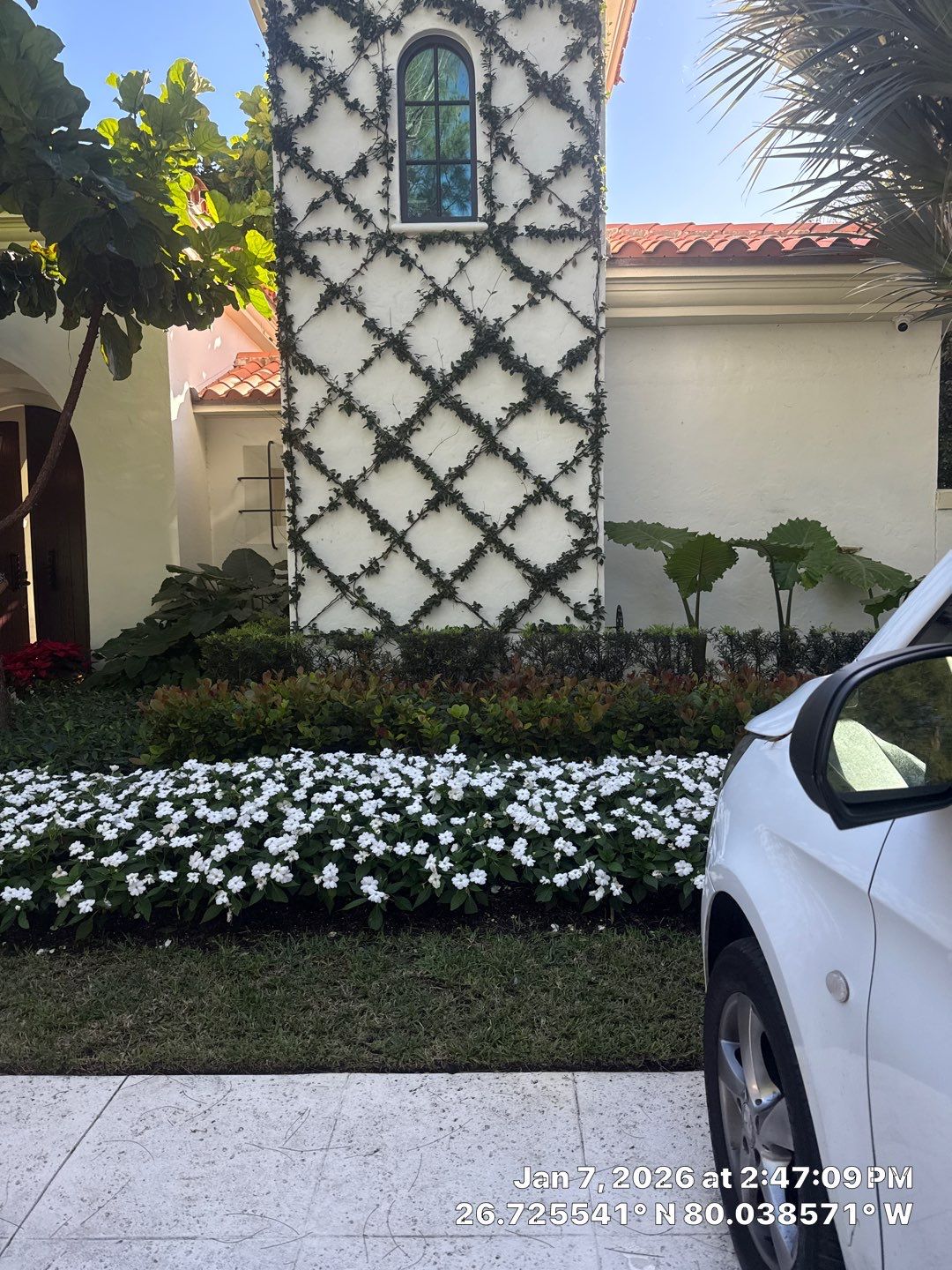 mold test by SuperClean 