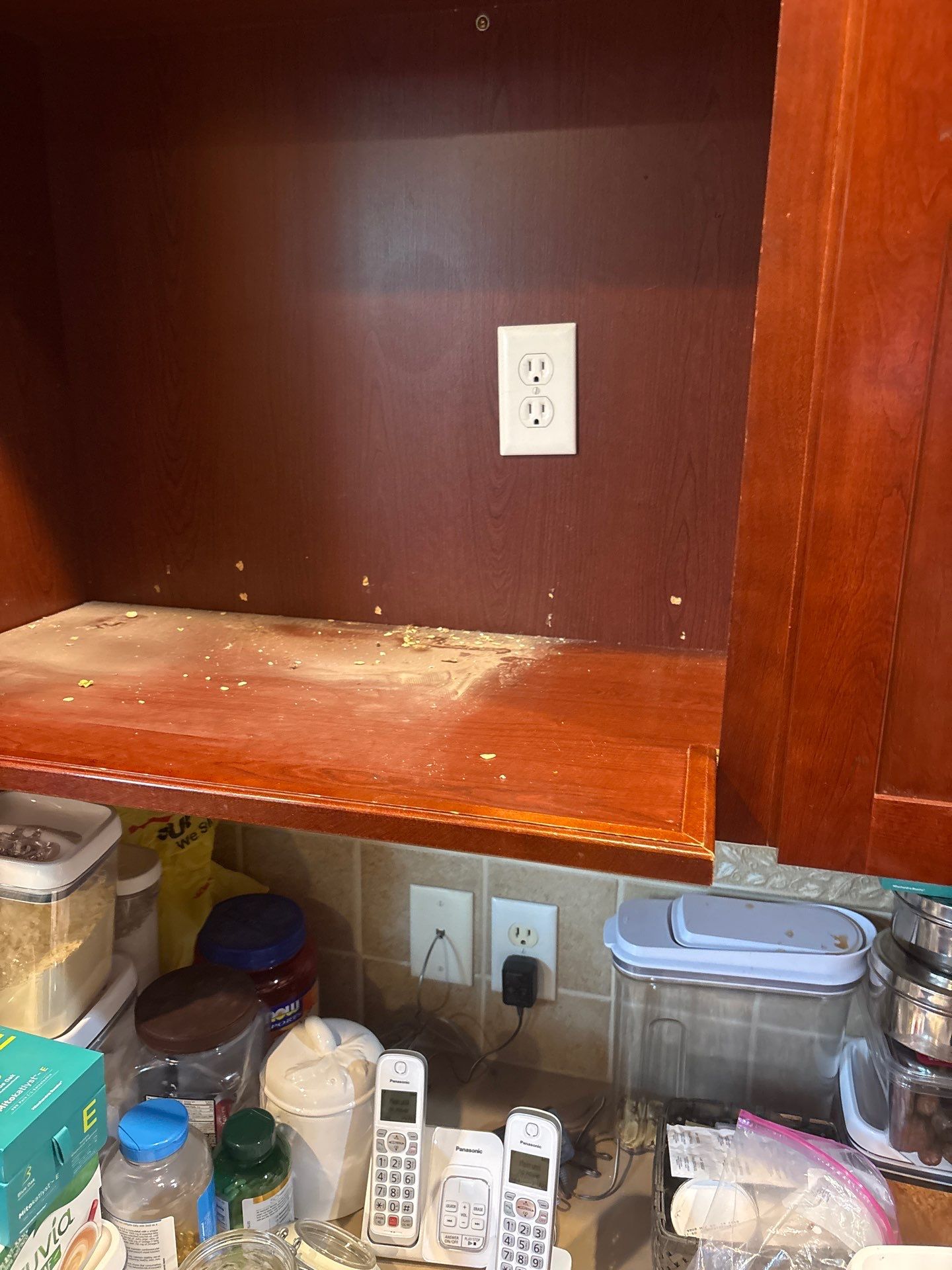 Restored Power by Bear Electric