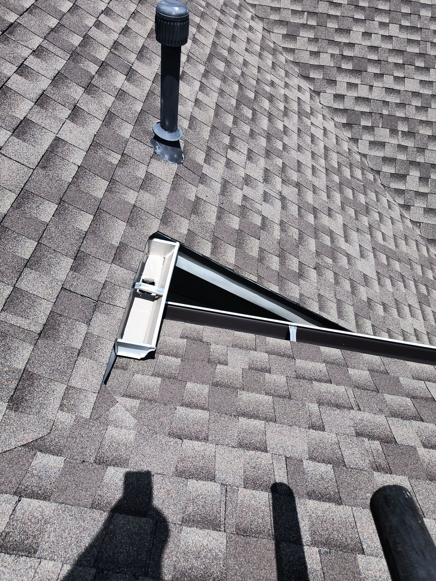 Professional Gutter Cleaning in Lutz FL by Gutter Professors