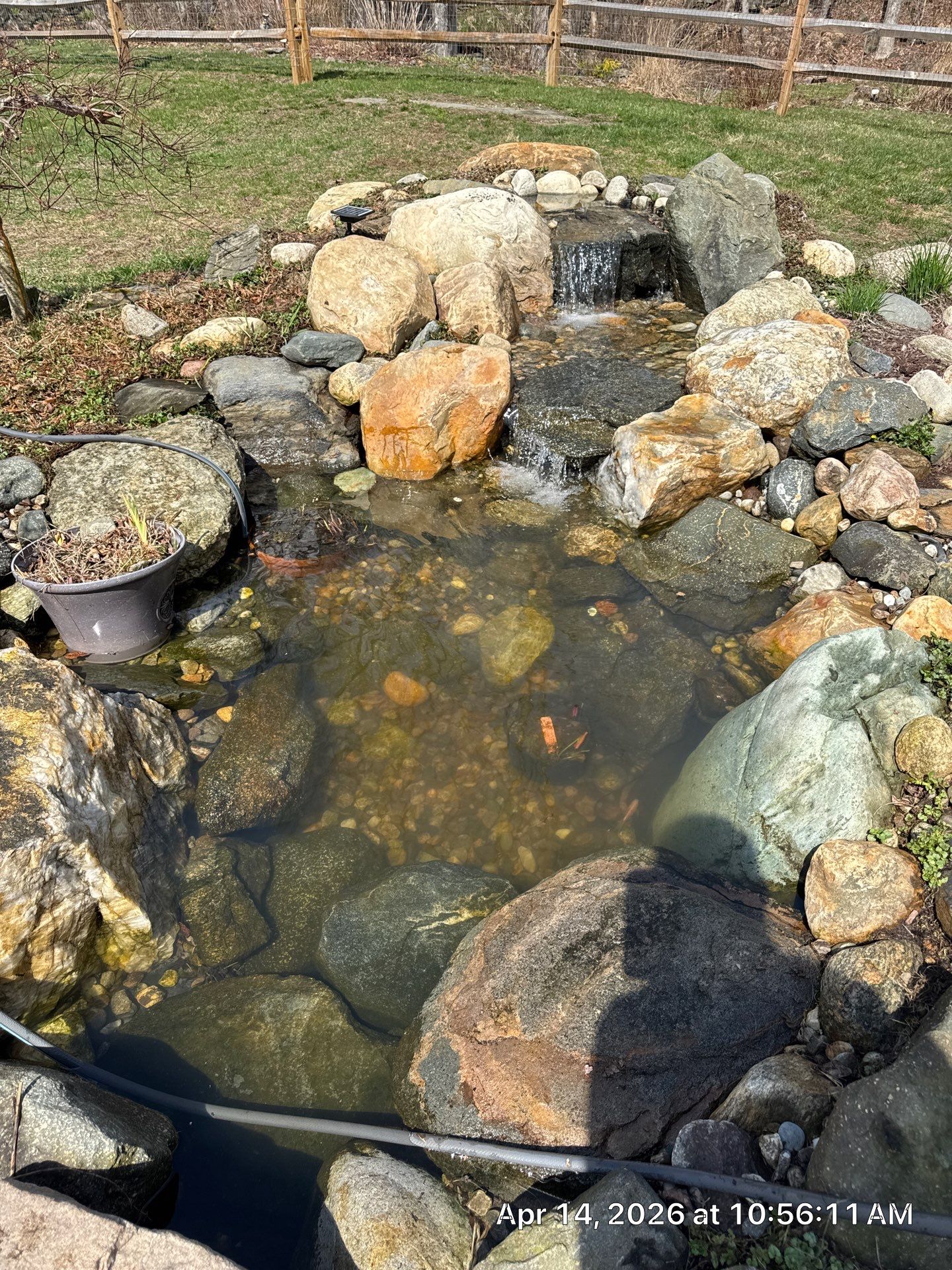 Small Pond Rescue in Williamsville, VT by Wicked Water Gardens