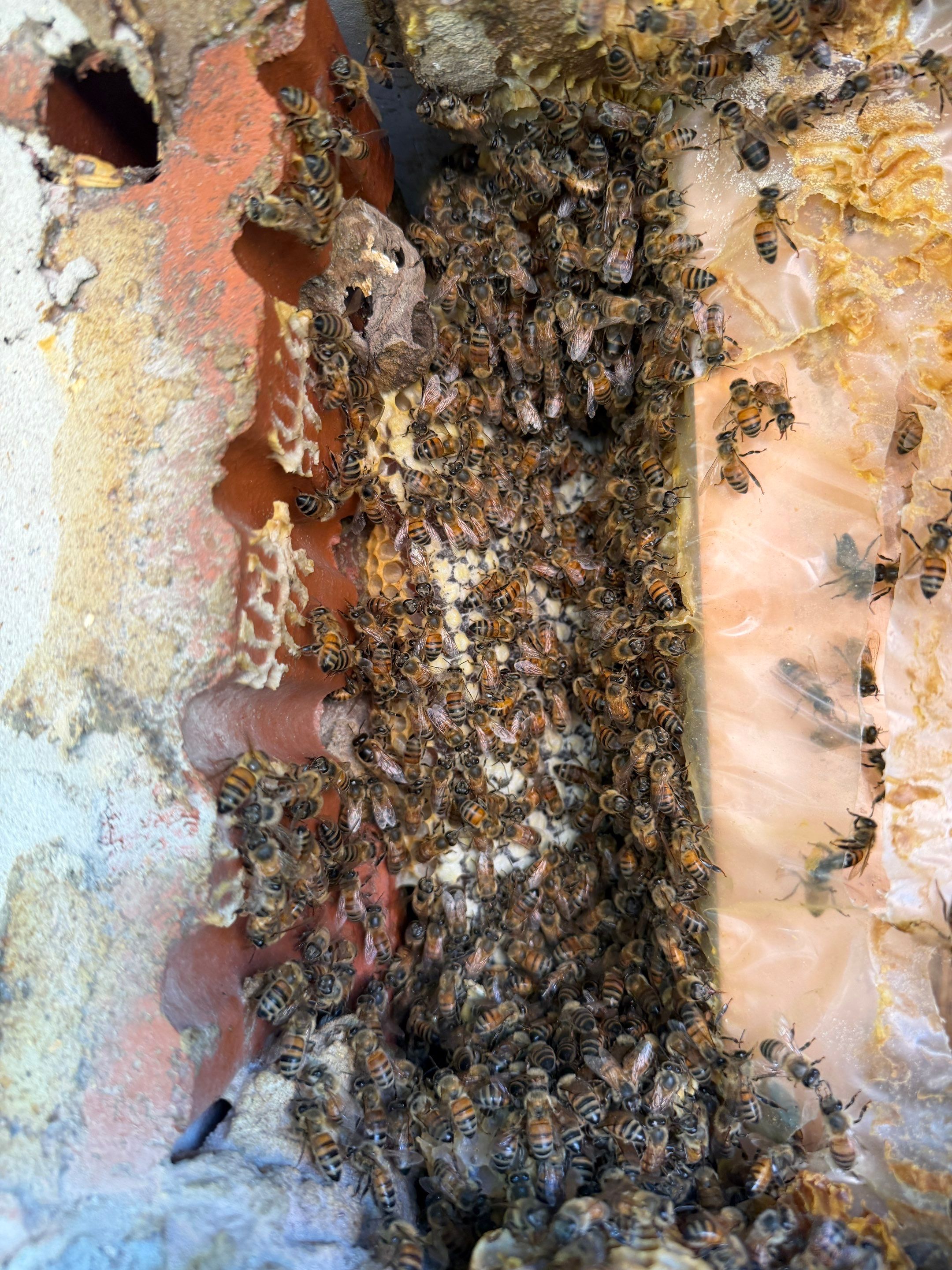 Brick Column by Rockwall Honey Bee Company