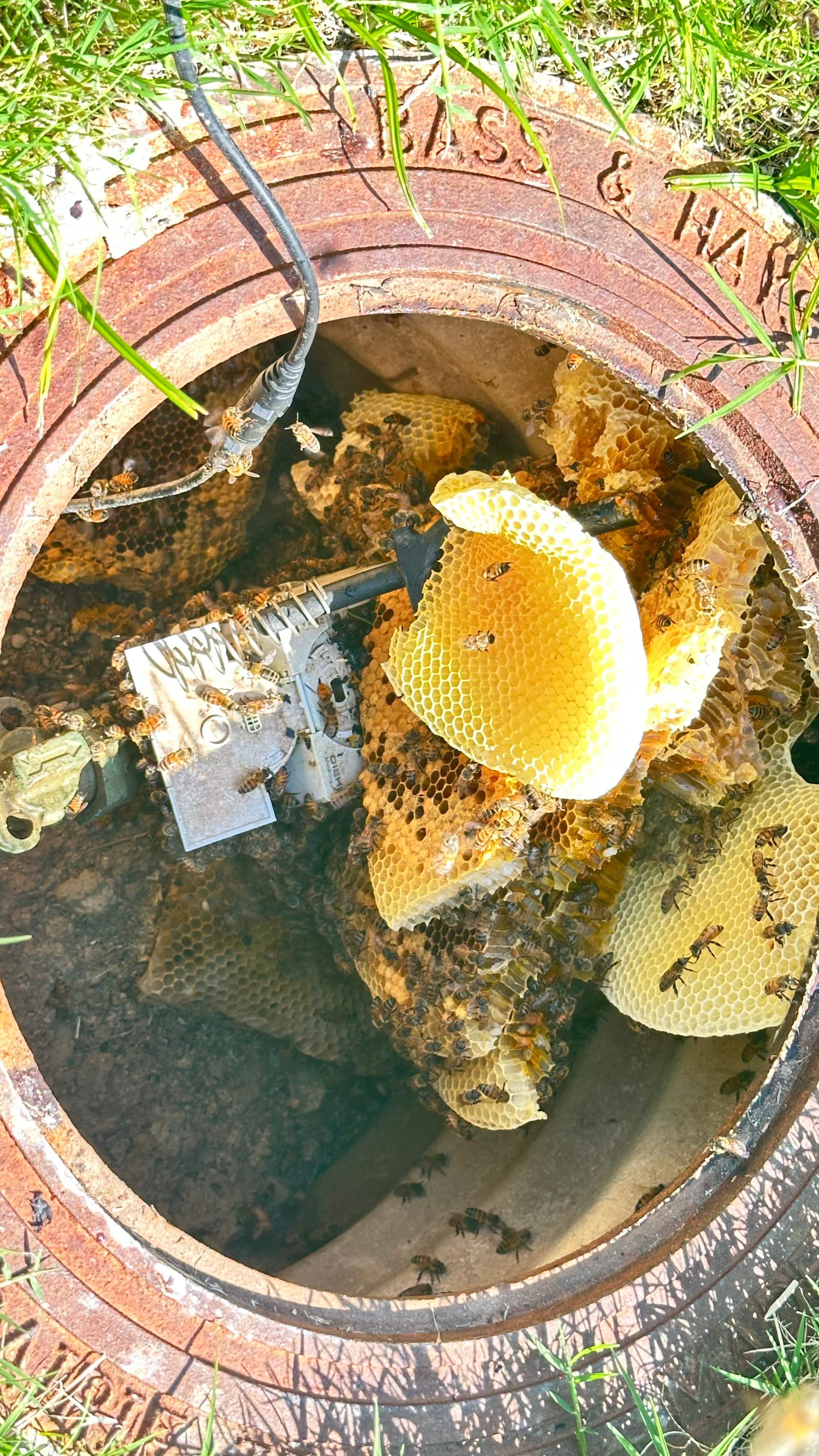 Water Meter by Rockwall Honey Bee Company