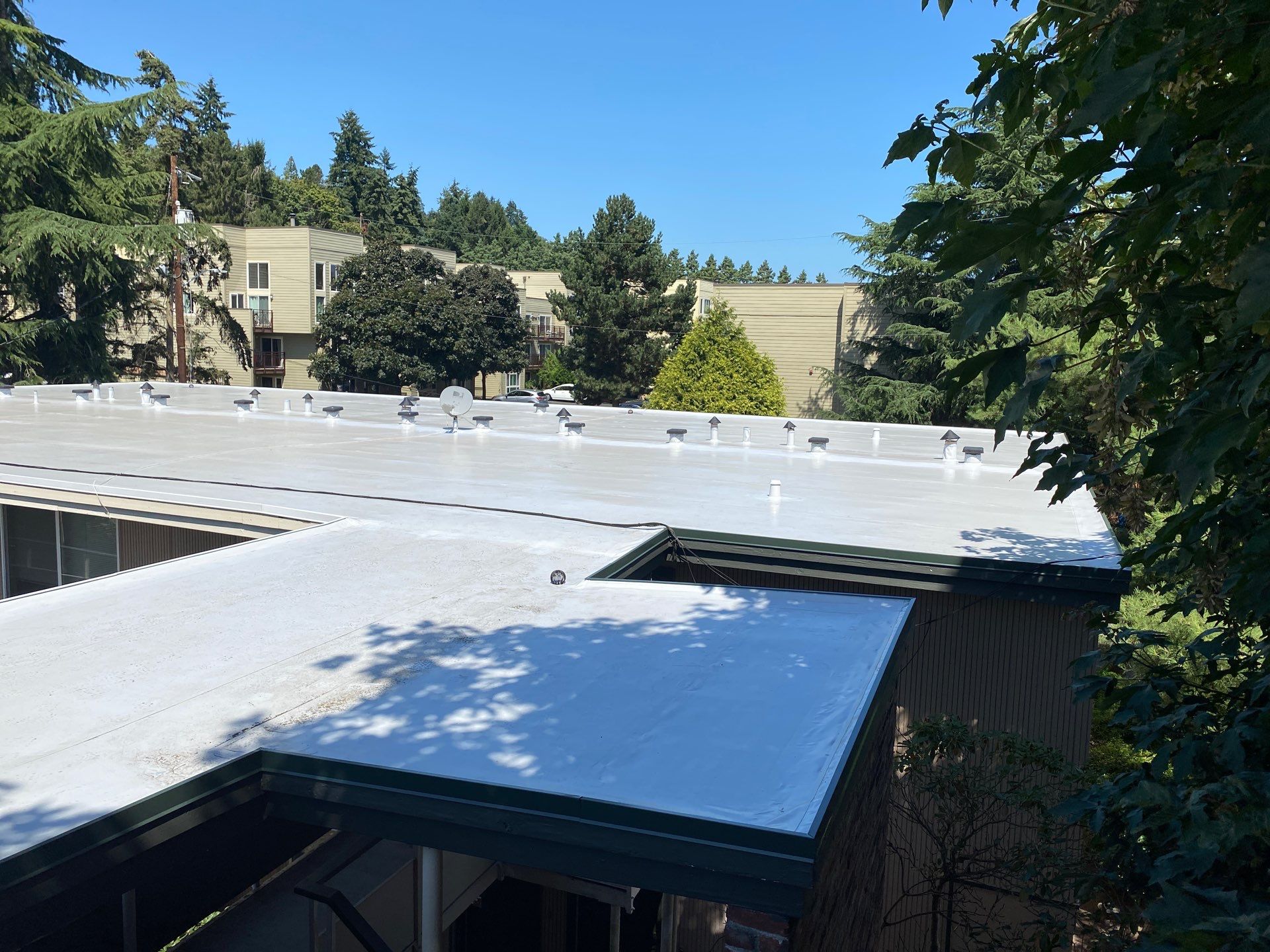 2024 Seattle Multi-Family Overlay by Alternative Roofing Systems Inc. 