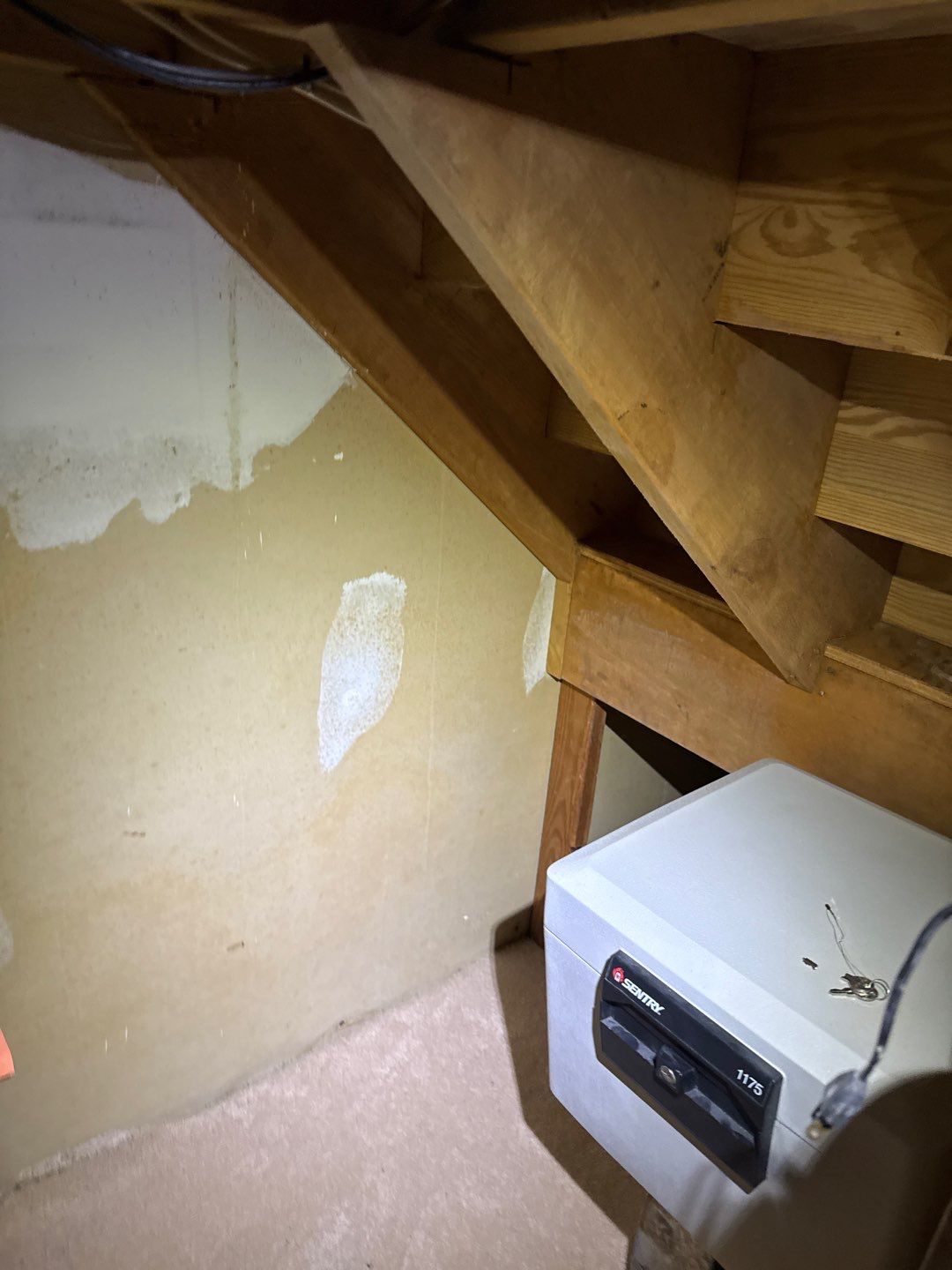 Mold Remediation & Moisture Source Discovery, Middletown, De. by Healthy Home Solutions