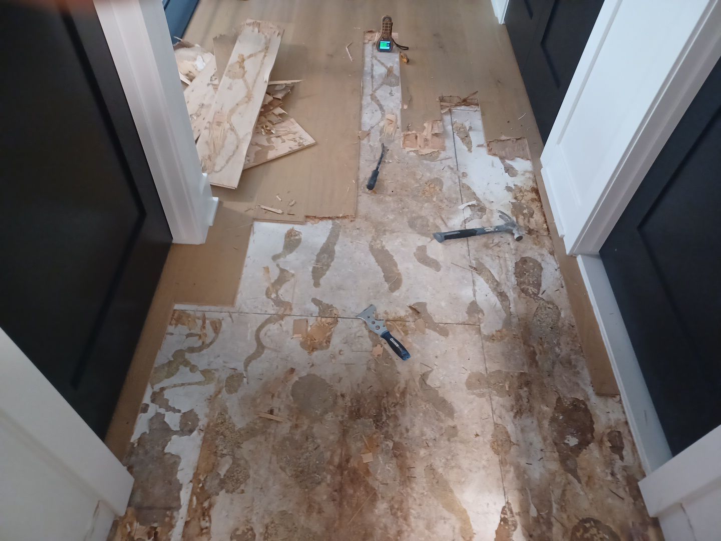 Project in Troy by EzDry Water Mitigation & Property Restoration