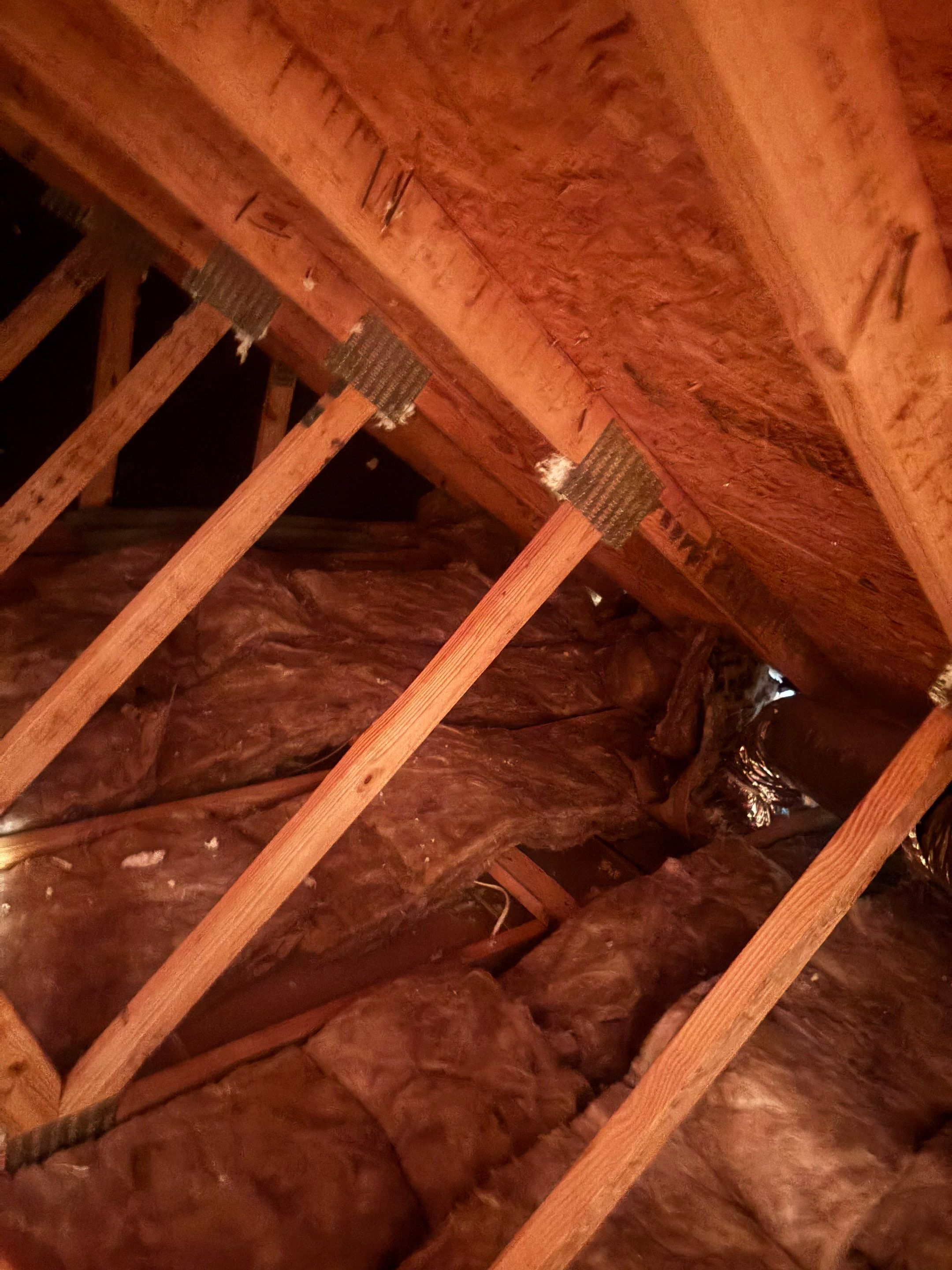 Interior Restoration Project by Praise God Painting, LLC