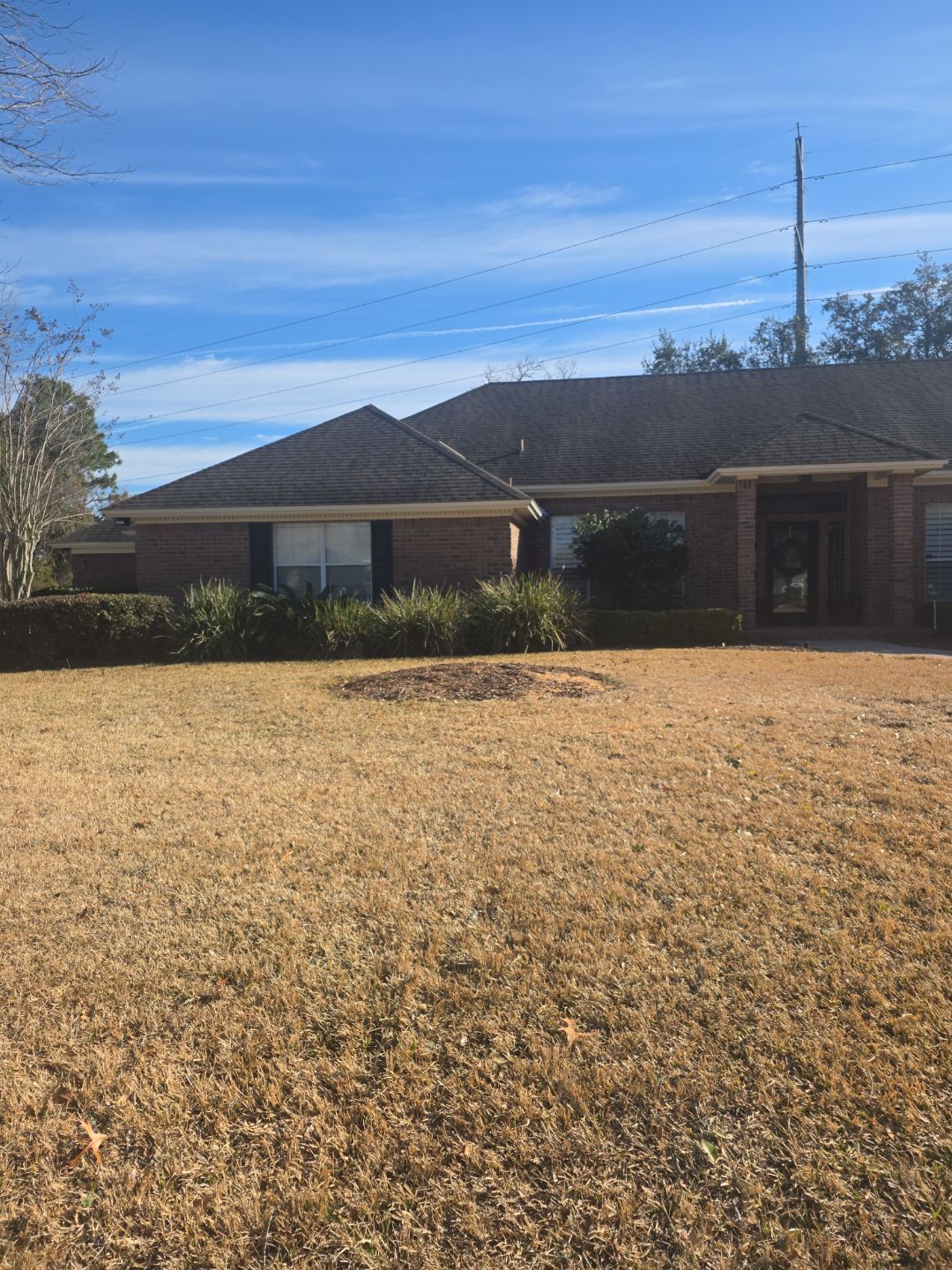 Deerwood Resident | Tree Removal by ProGreen Services