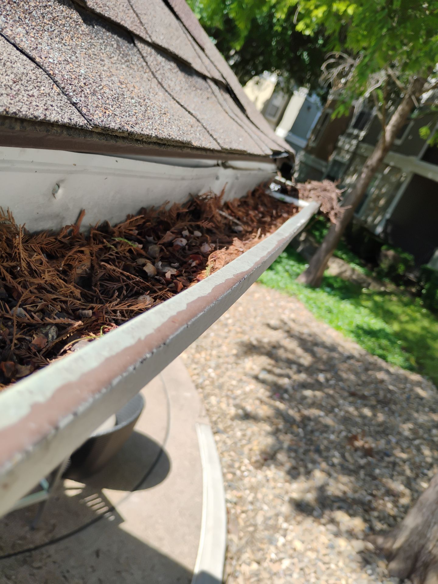 HOA gutter cleaning before photo.