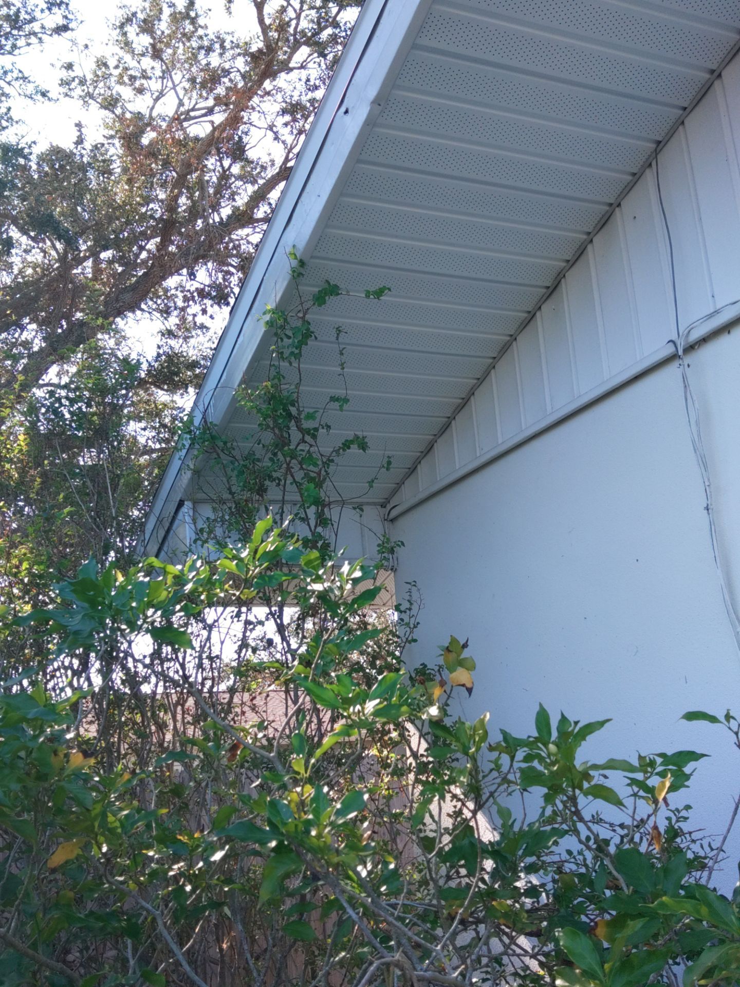 Soffit White Vinyl Installation FL by Gutter Professors