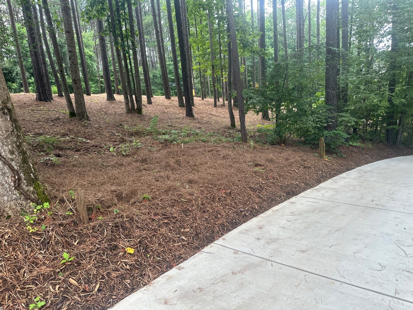 New Construction in Denver by Growing Edge Landscape & Design, Inc.