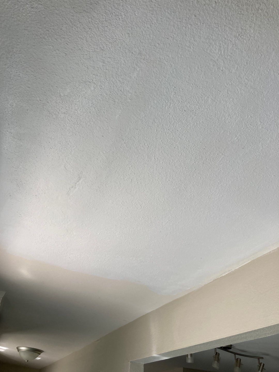 Large Ceiling Drywall Repair by Andre Handyman