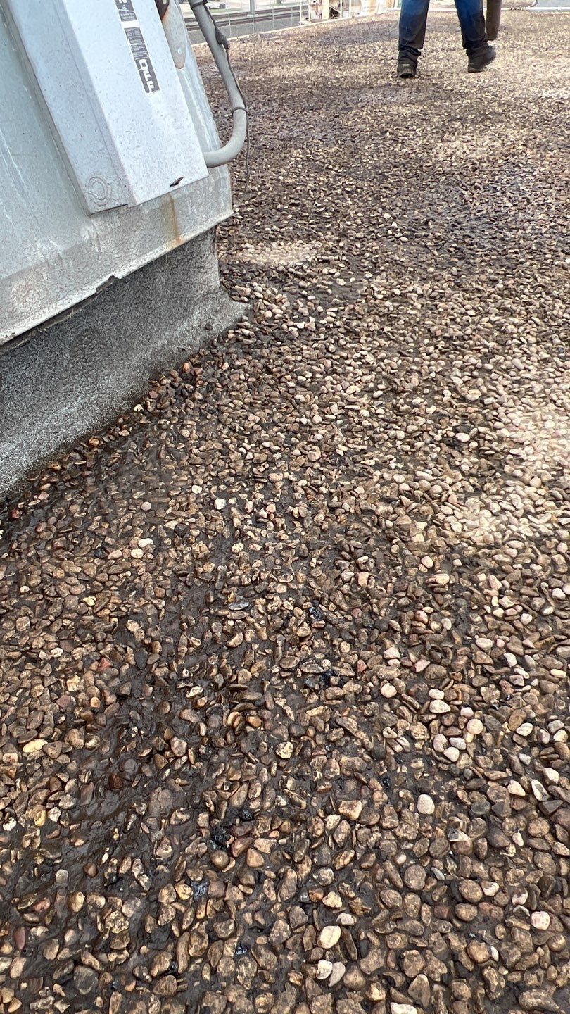 Foam & Metal Roof Restoration – Thermo Sensors (Garland, TX) by All Star Roofing LLC