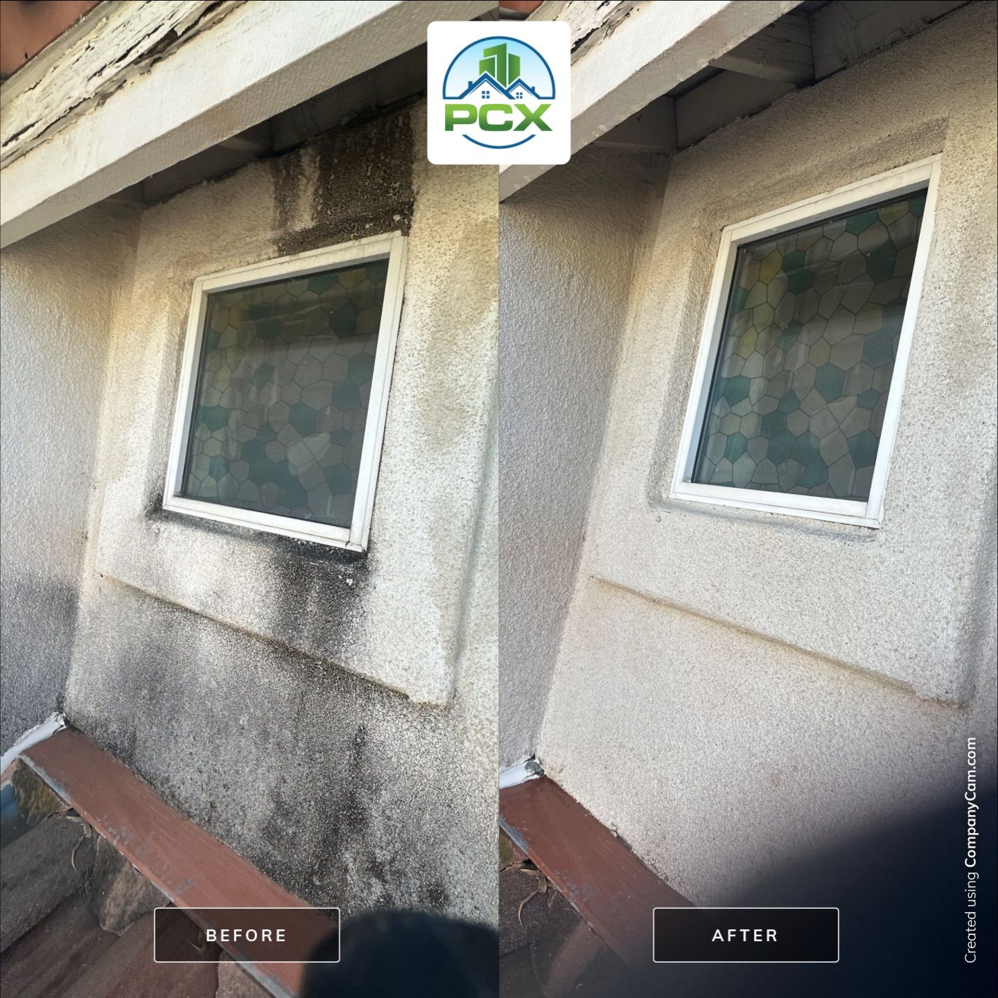 This home was COVERED in growth by Property Cleaning Experts, LLC