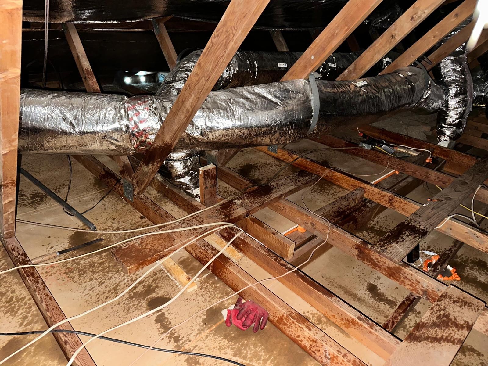 Project in Huntington Beach by Insulation Labs