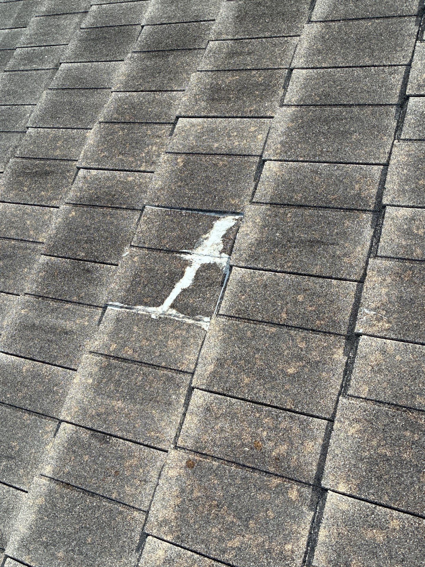 Roof Cleaning Coconut Creek by BKB Pressure Cleaning LLC