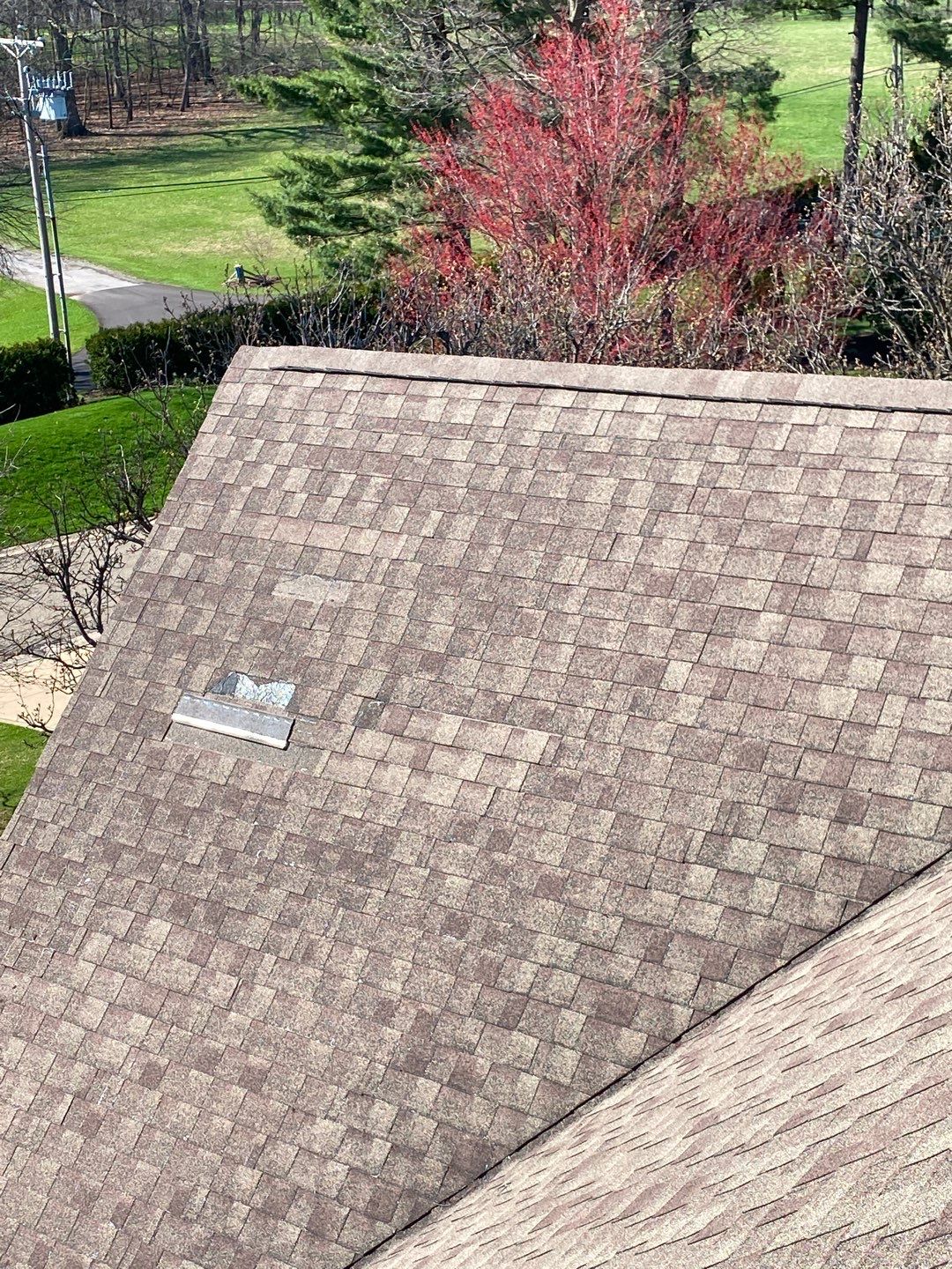 Alan Ross by Silver Leaf Contracting 