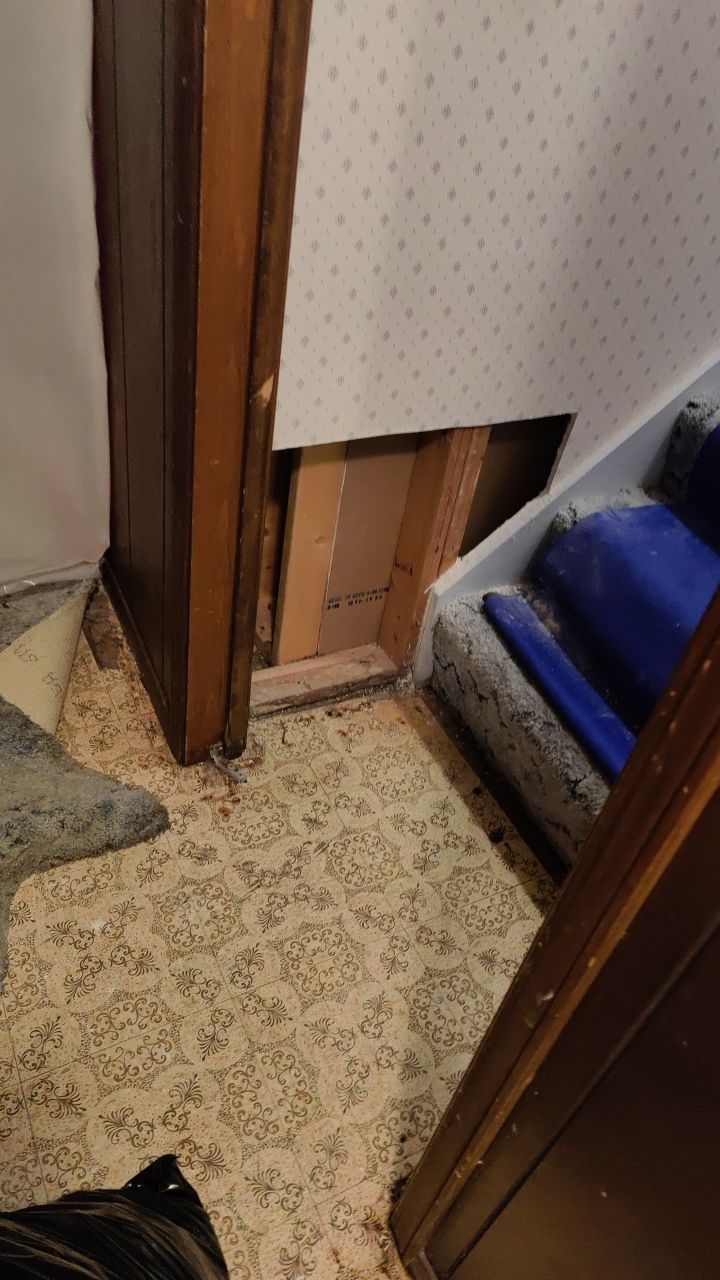 Water Damage  by Accountable Home Services