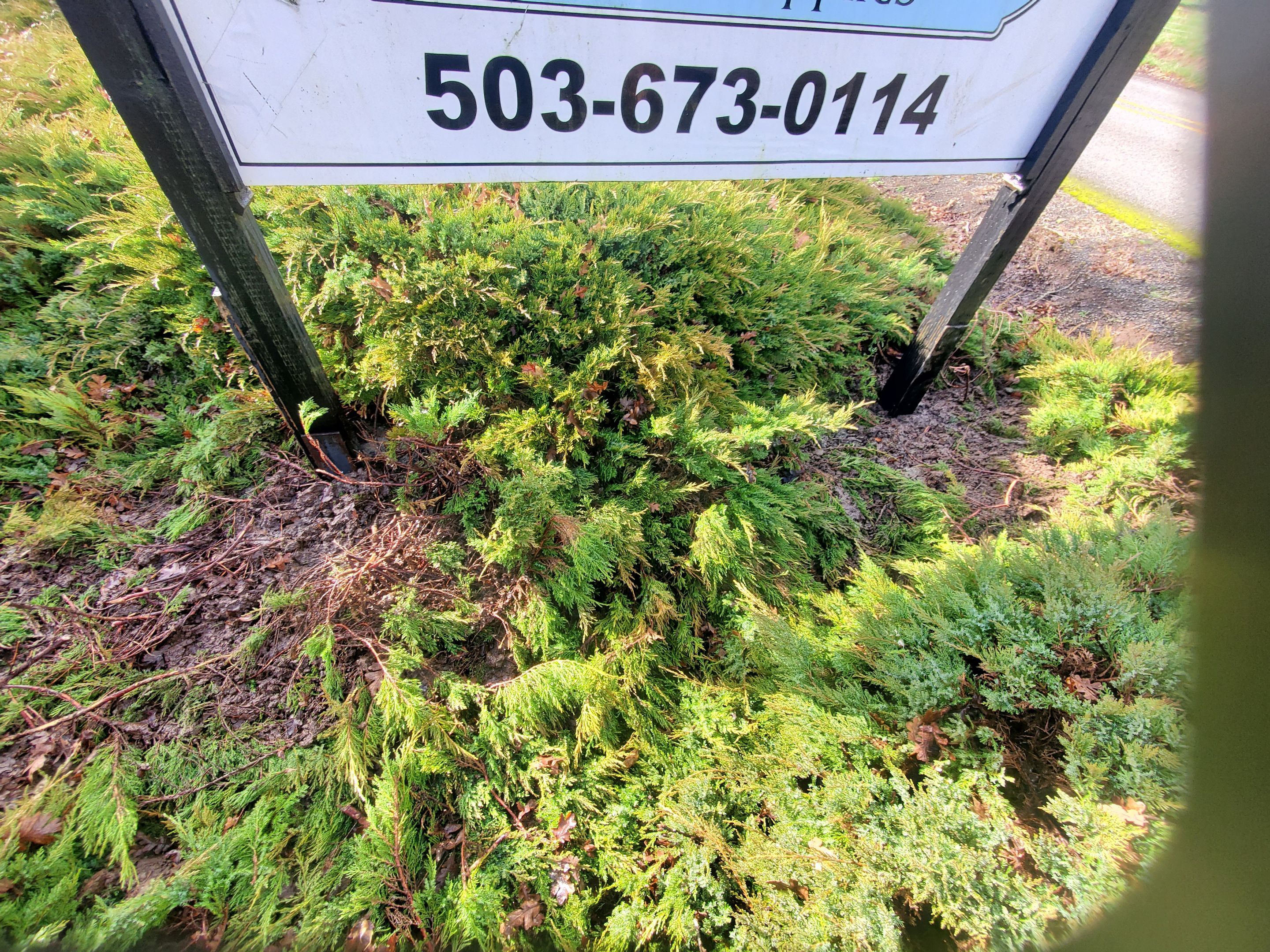 Secure both exterior business signage by Construction Now LLC