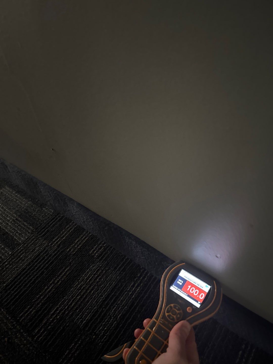 Project in Royal Oak by EzDry Water Mitigation & Property Restoration