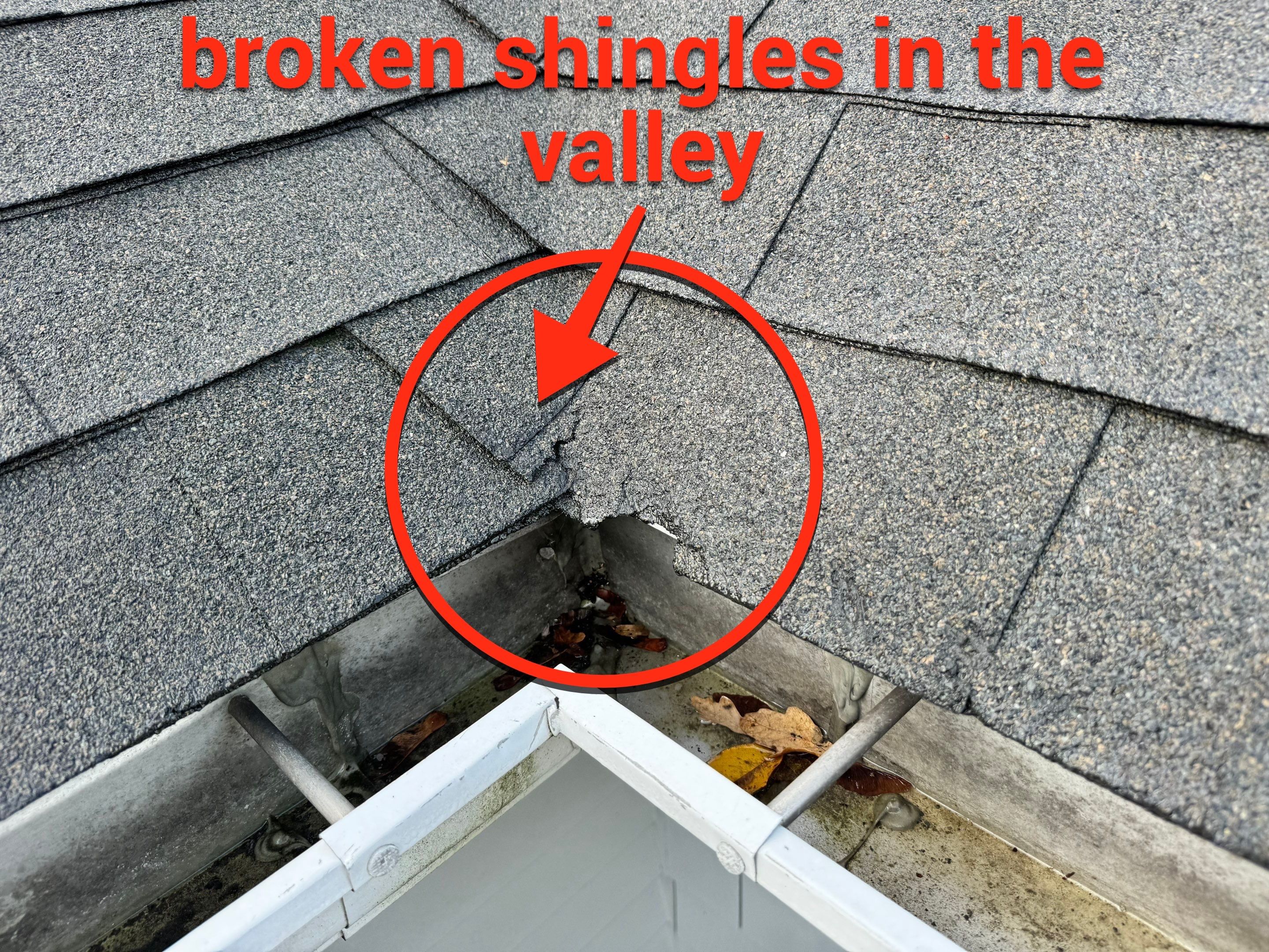 Tyee Roofing Replacement  by Tyee Construction Corp