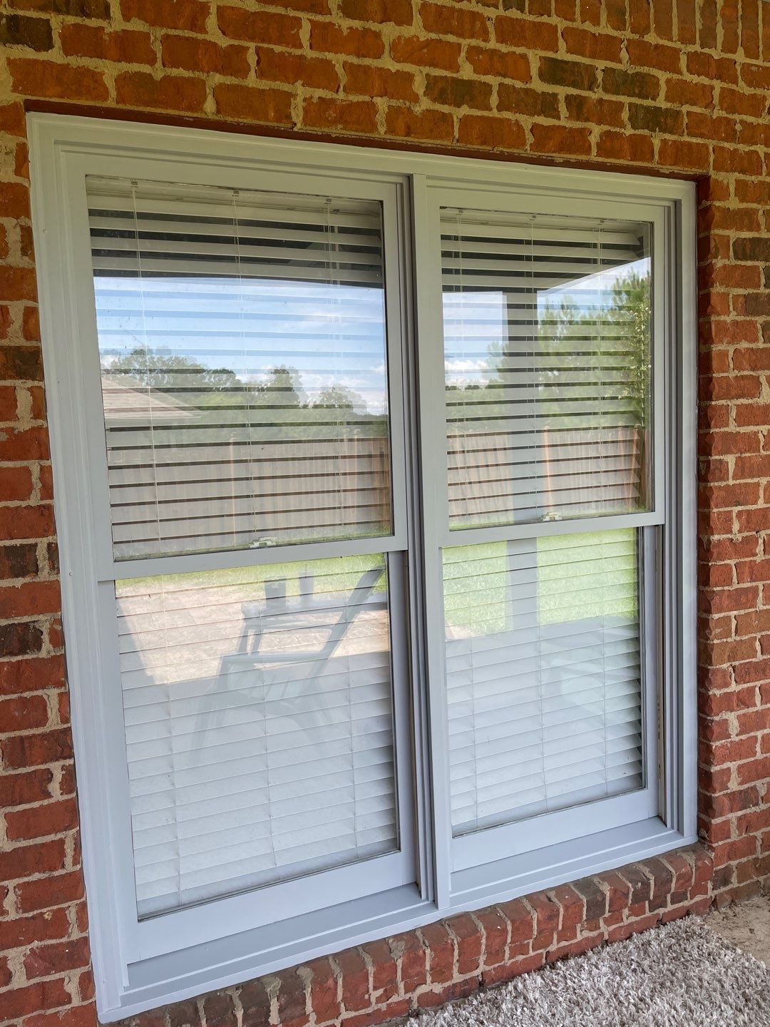 Downing Park - Paint by Pillar and Pine